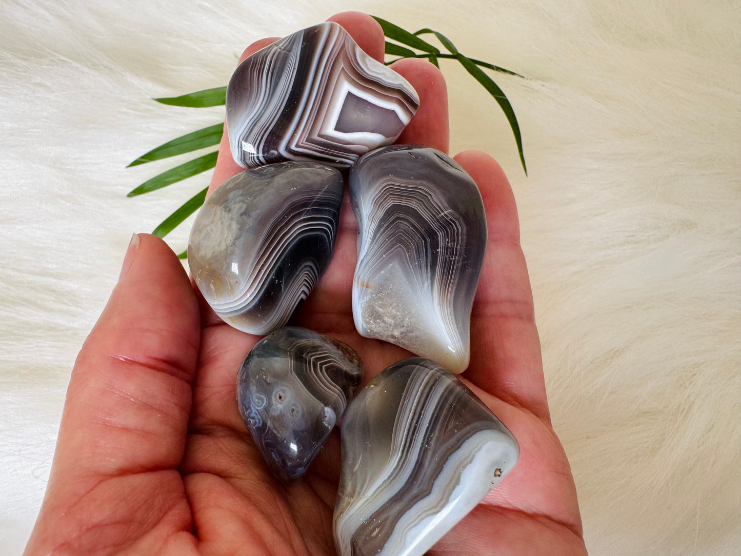 Botswana Agate Tumbled - Moon Room Shop and Wellness