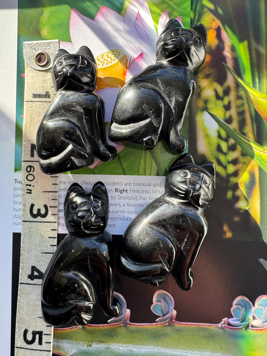 Black Onyx Cat 2” - Moon Room Shop and Wellness
