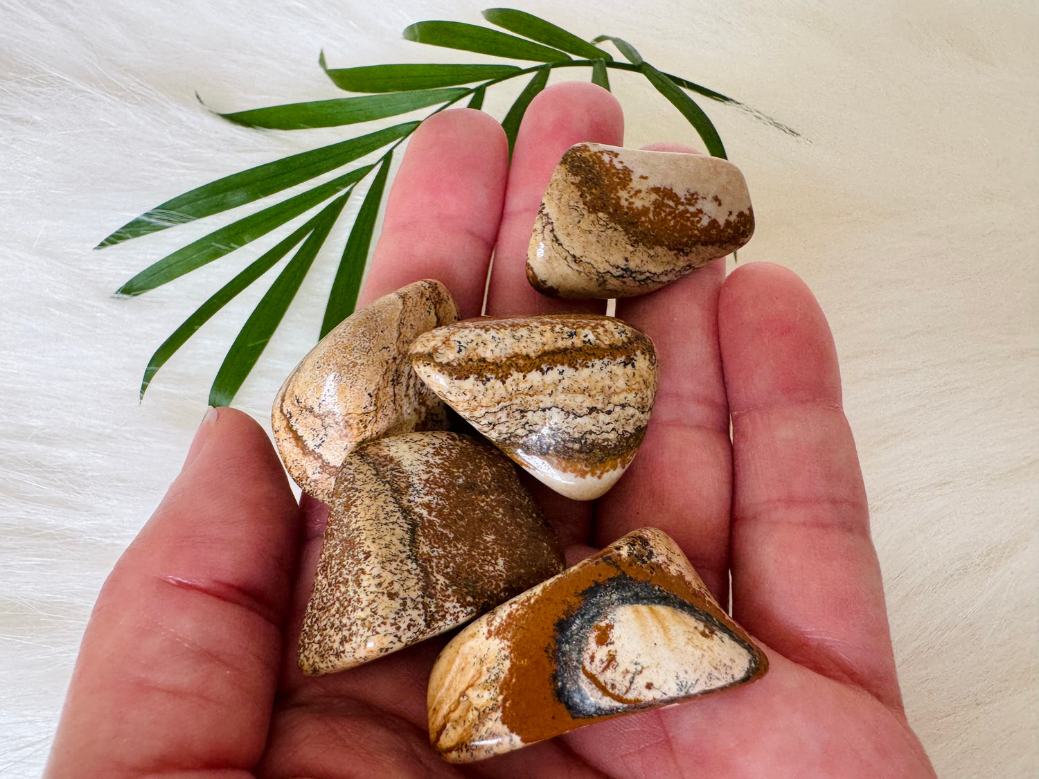 Picture Jasper Tumbled - Moon Room Shop and Wellness