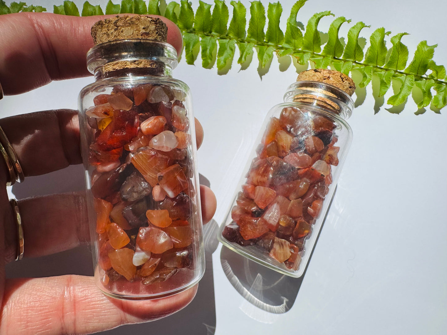 Carnelian Gem Chip 25 ml Glass Jar - Moon Room Shop and Wellness