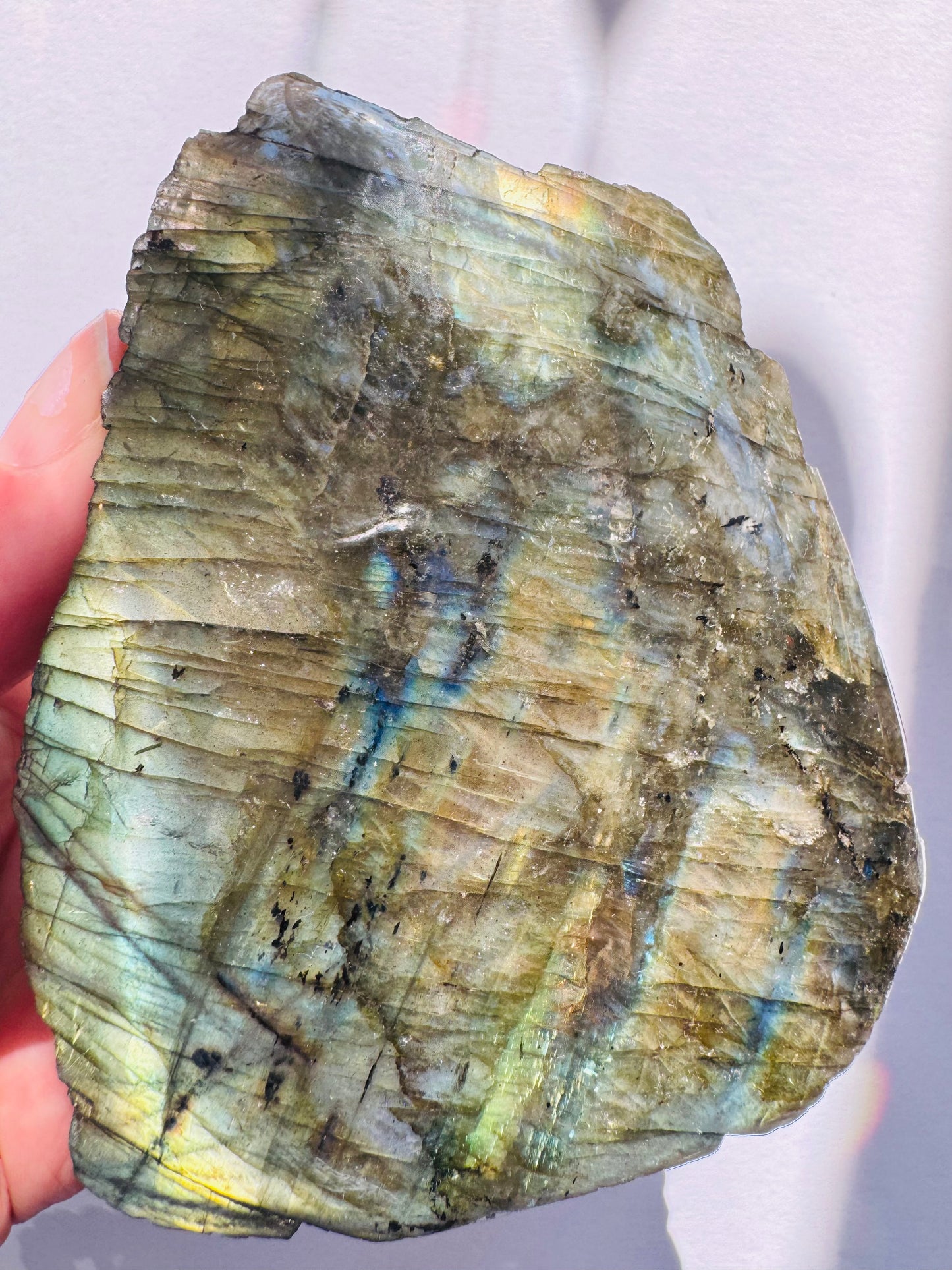 Labradorite Freeform w Natural Back 351 g - Madagascar - Moon Room Shop and Wellness