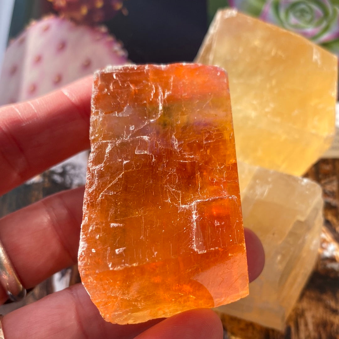 Honey Optical Calcite - Moon Room Shop and Wellness