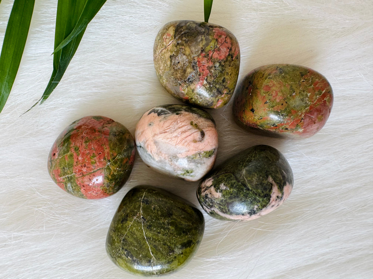 Unakite Tumbled - Moon Room Shop and Wellness