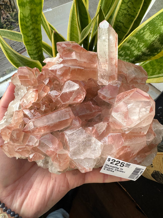 Hematite in Quartz Cluster 4.46lbs - Moon Room Shop and Wellness
