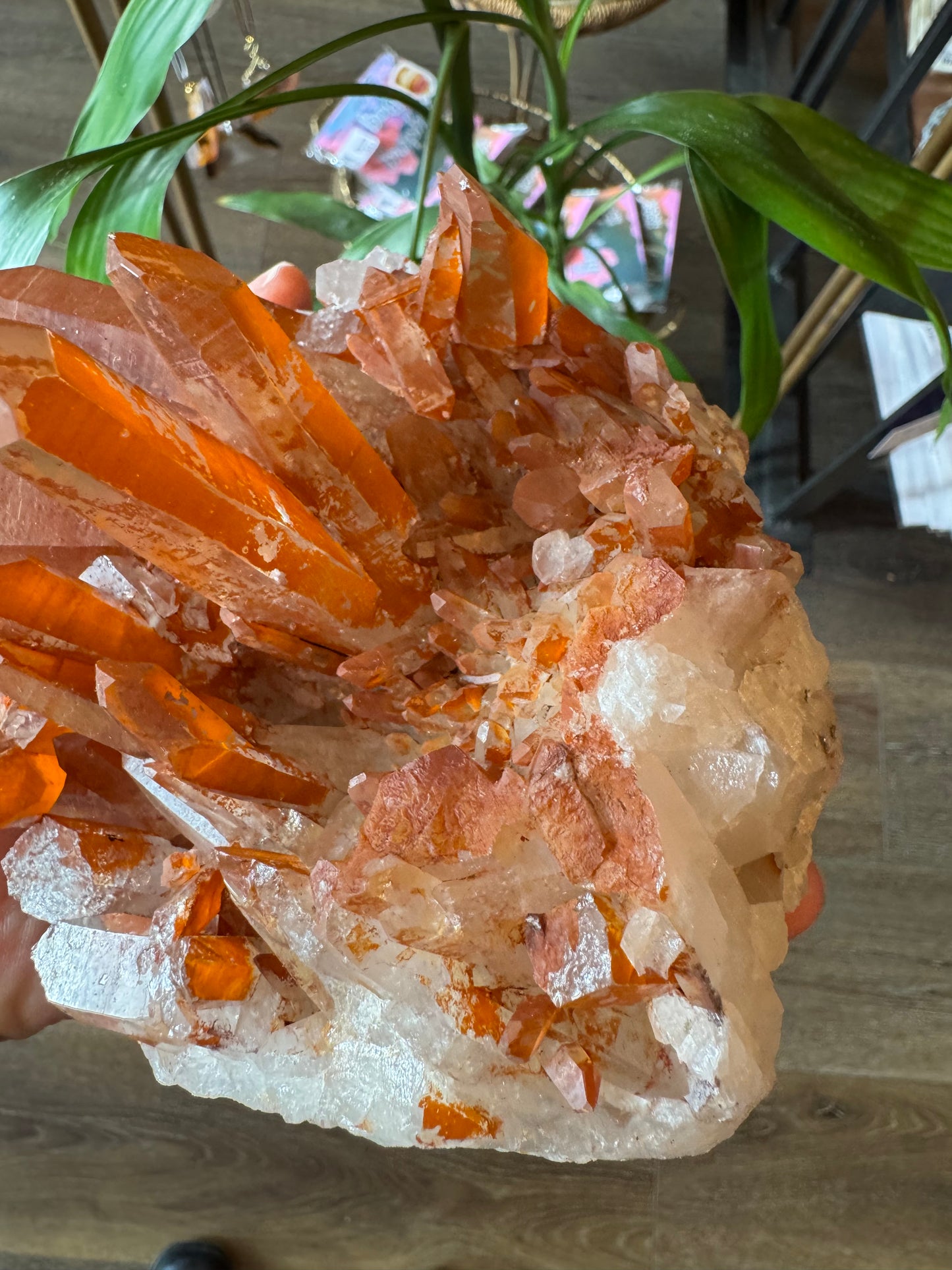 Tangerine Quartz Cluster 1.93 lbs Stunner! - Moon Room Shop and Wellness