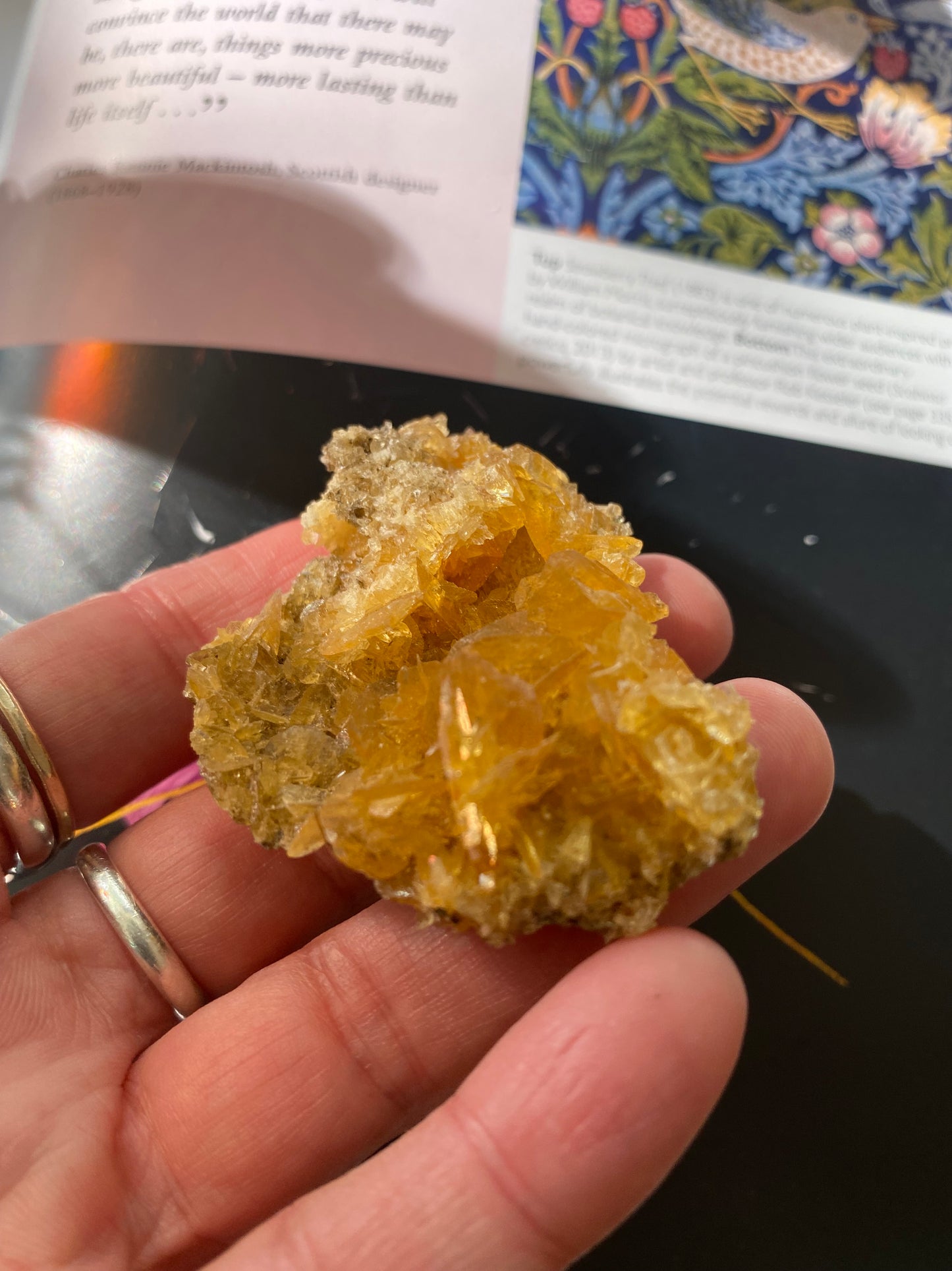 Golden Selenite w/ Halite - 22 g - Peru- UV Reactive - Moon Room Shop and Wellness