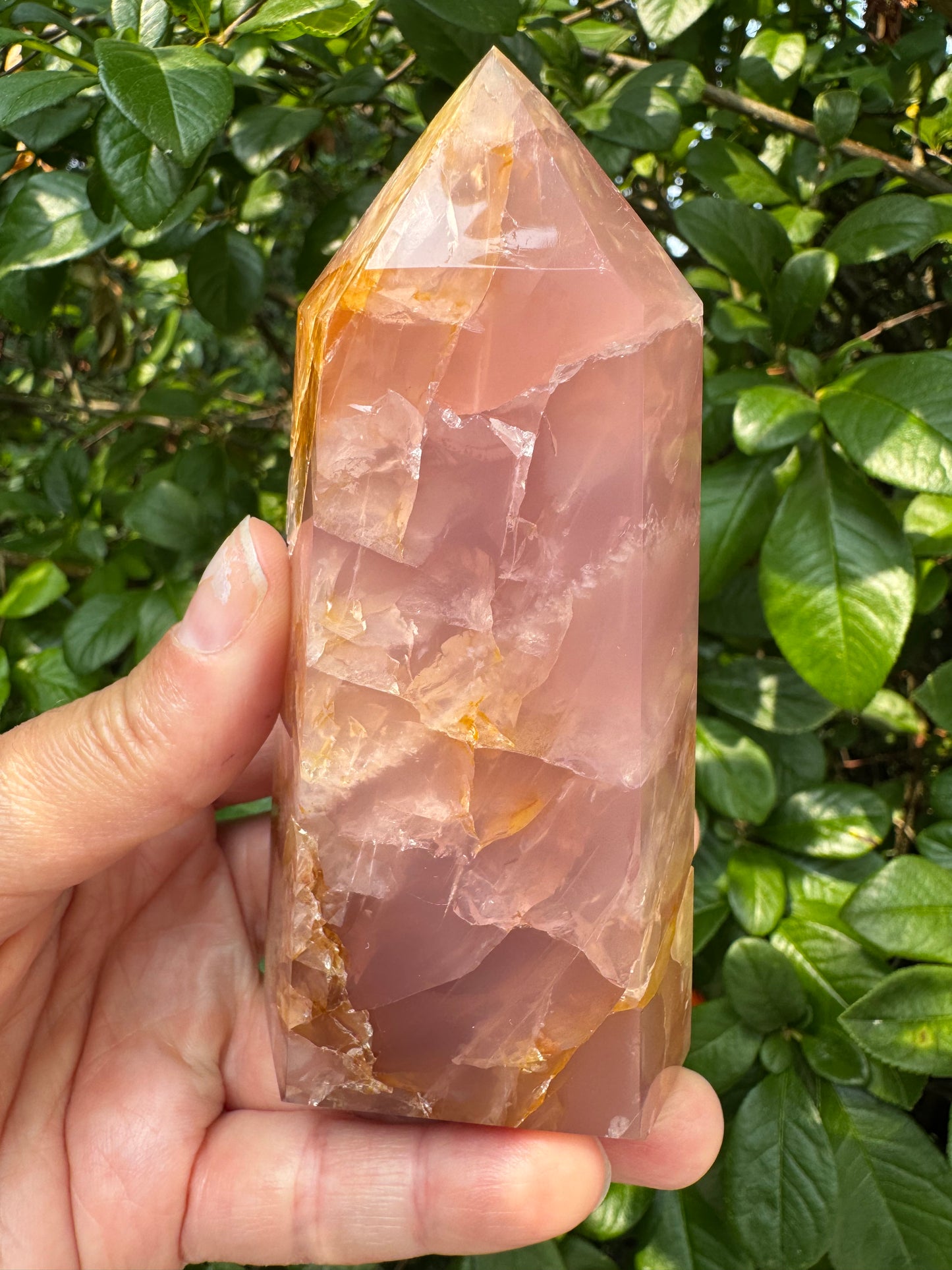 Guave Rose Quartz w Golden Healer - Gorgeous! 328 g - Brazil - Moon Room Shop and Wellness