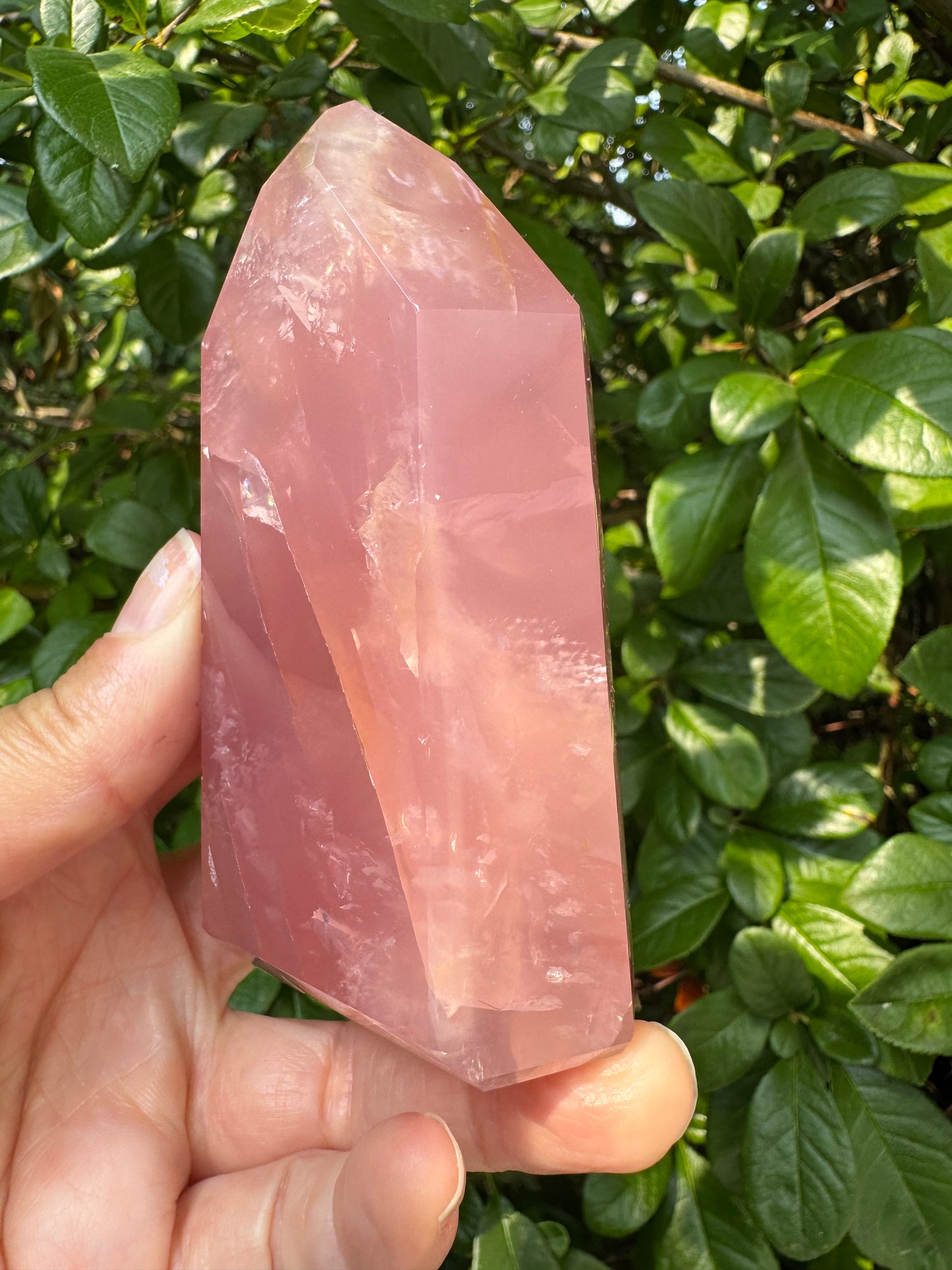 Guava Rose Quartz w Golden Healer - Gorgeous! 304 g - Brazil - Moon Room Shop and Wellness