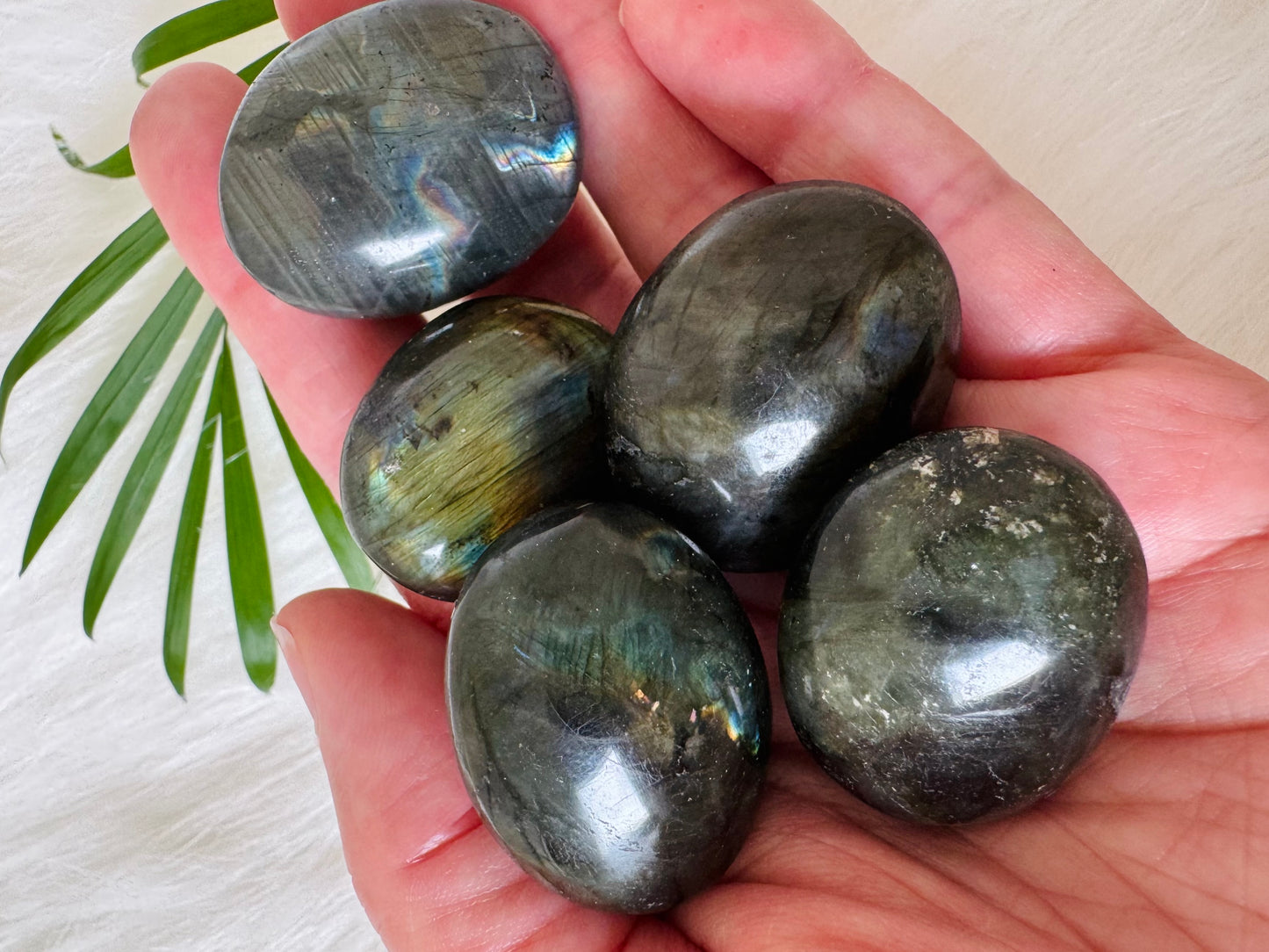 Labradorite Tumbled - Moon Room Shop and Wellness