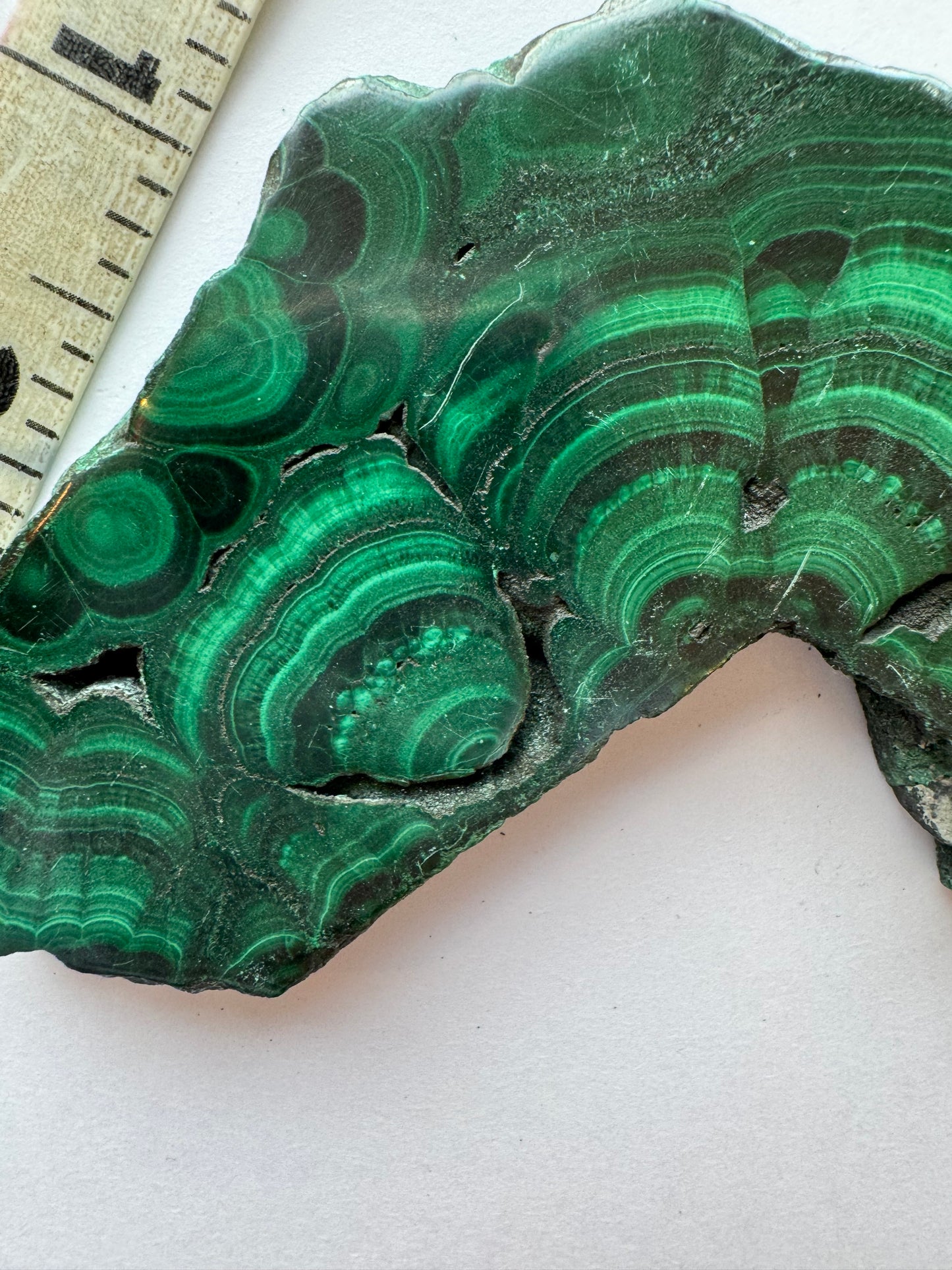 Malachite Polished Slab 145 g - Moon Room Shop and Wellness