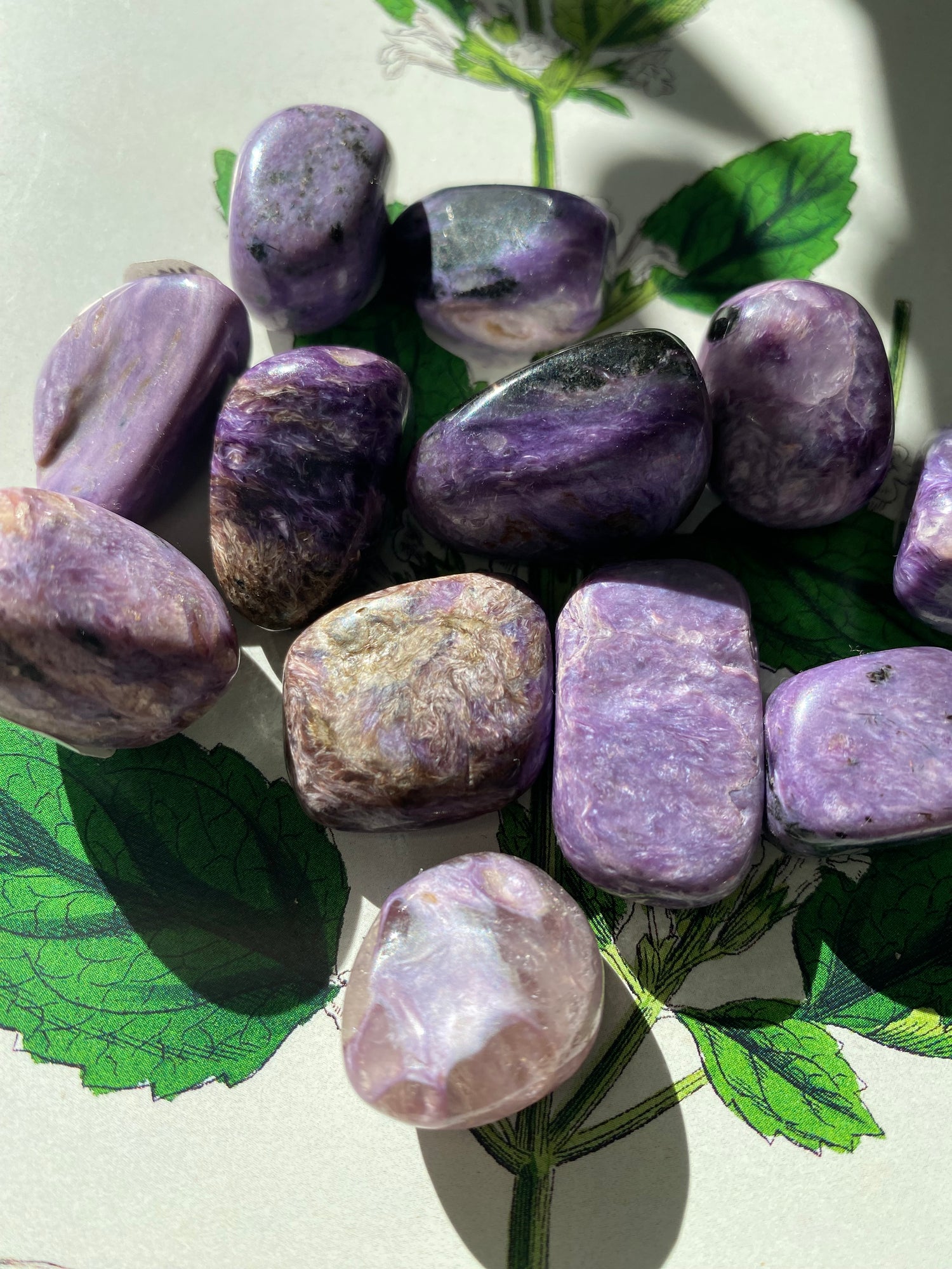 Charoite Tumbled  -Russia - Moon Room Shop and Wellness