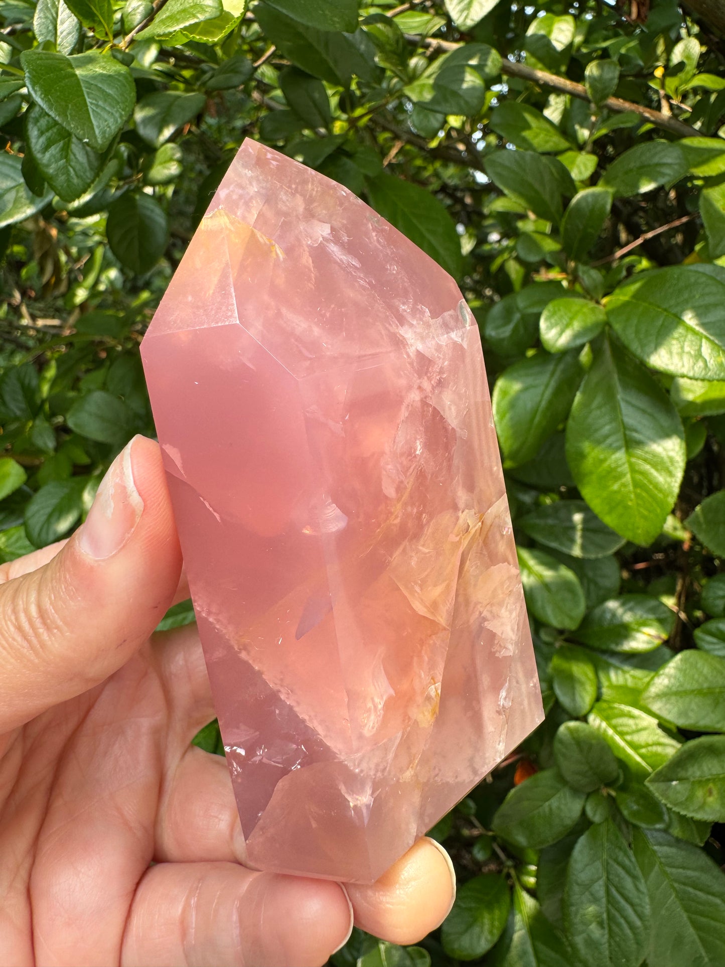 Guava Rose Quartz w Golden Healer - Gorgeous! 304 g - Brazil - Moon Room Shop and Wellness