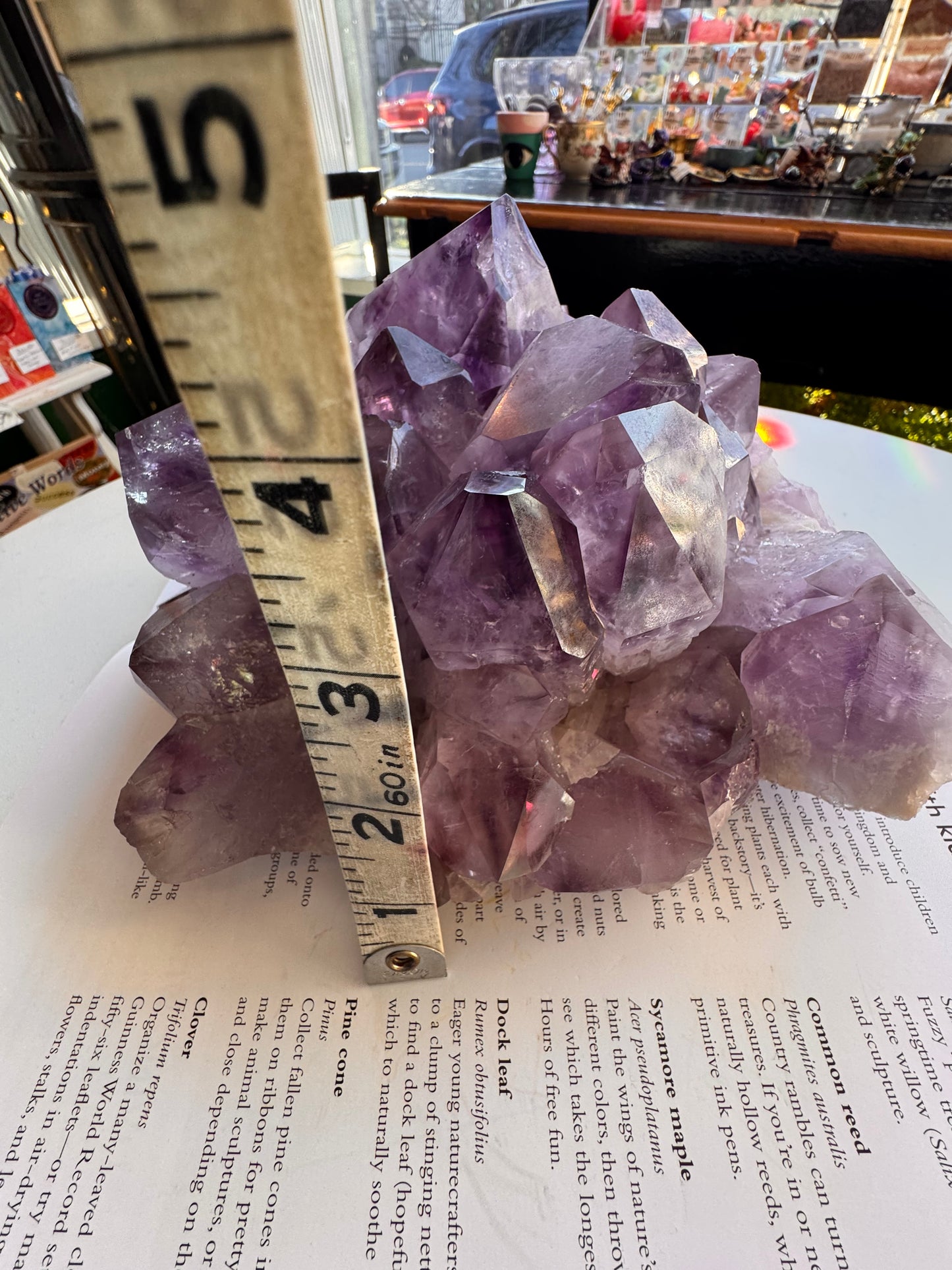 Phantom Amethyst Cluster 6.85 lb Brazil - Moon Room Shop and Wellness