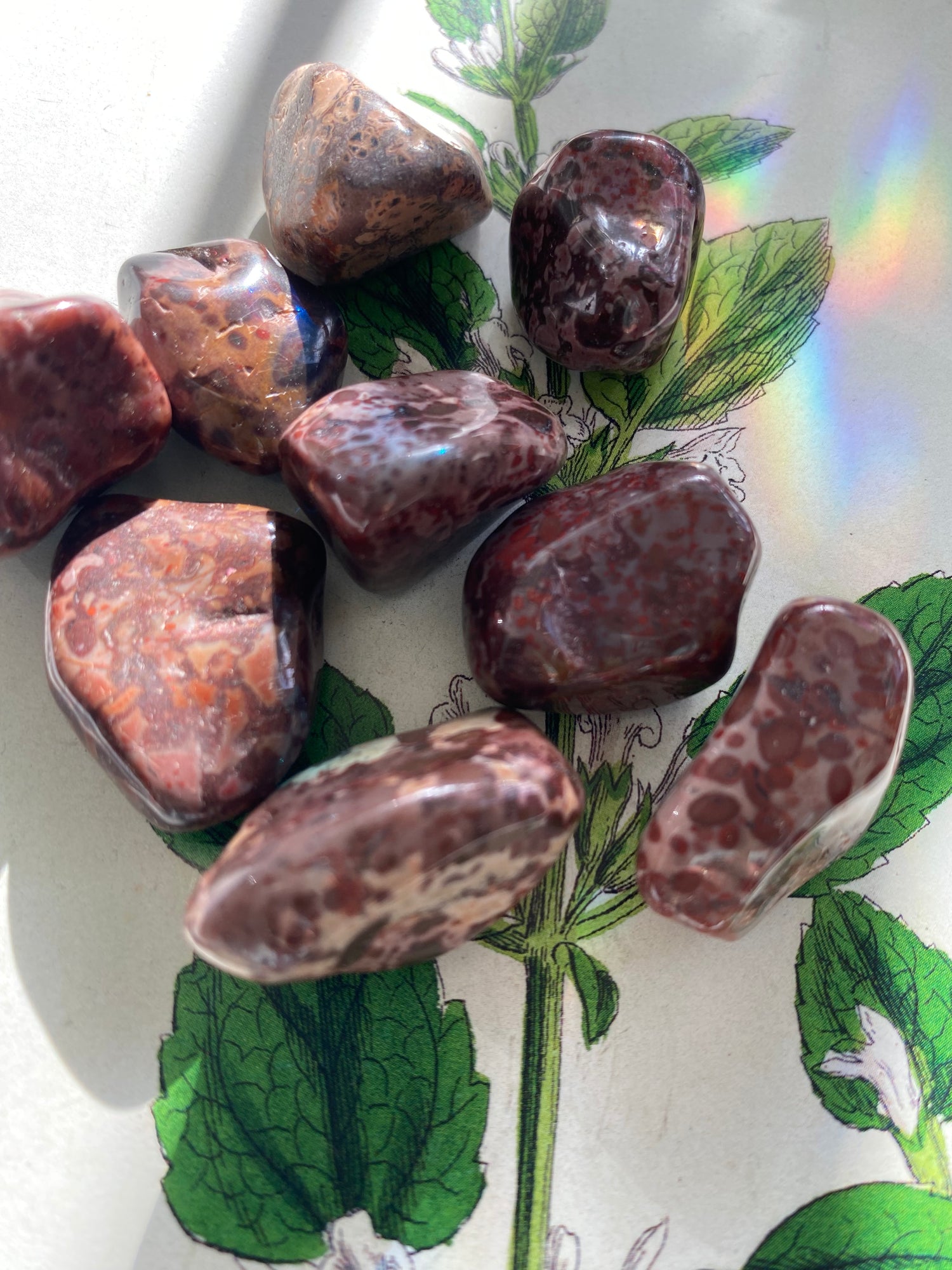 Red Leopard Skin Jasper Tumbled - Moon Room Shop and Wellness