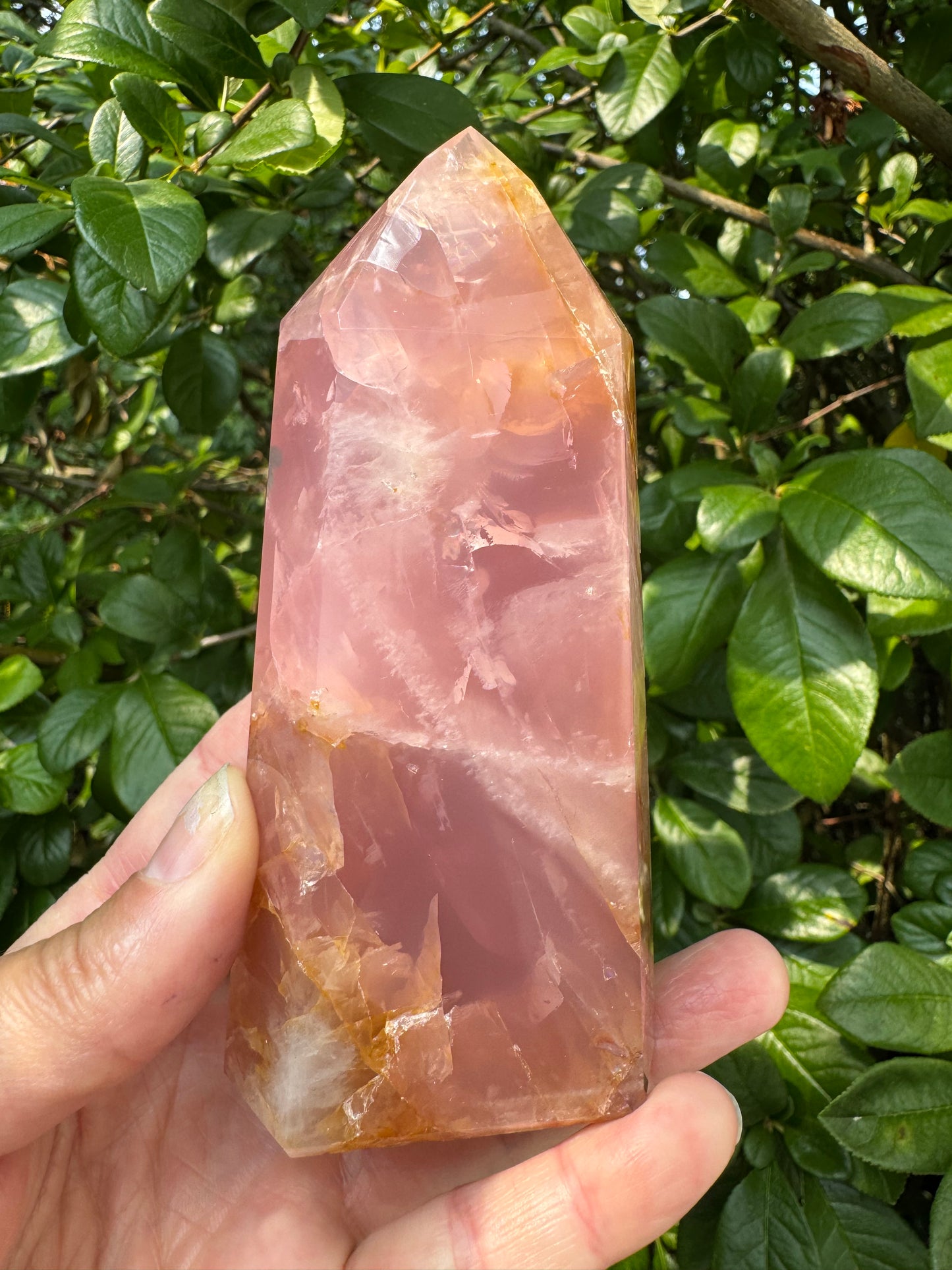 Guave Rose Quartz w Golden Healer - Gorgeous! 328 g - Brazil - Moon Room Shop and Wellness