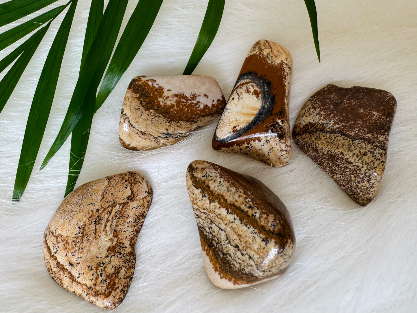 Picture Jasper Tumbled - Moon Room Shop and Wellness