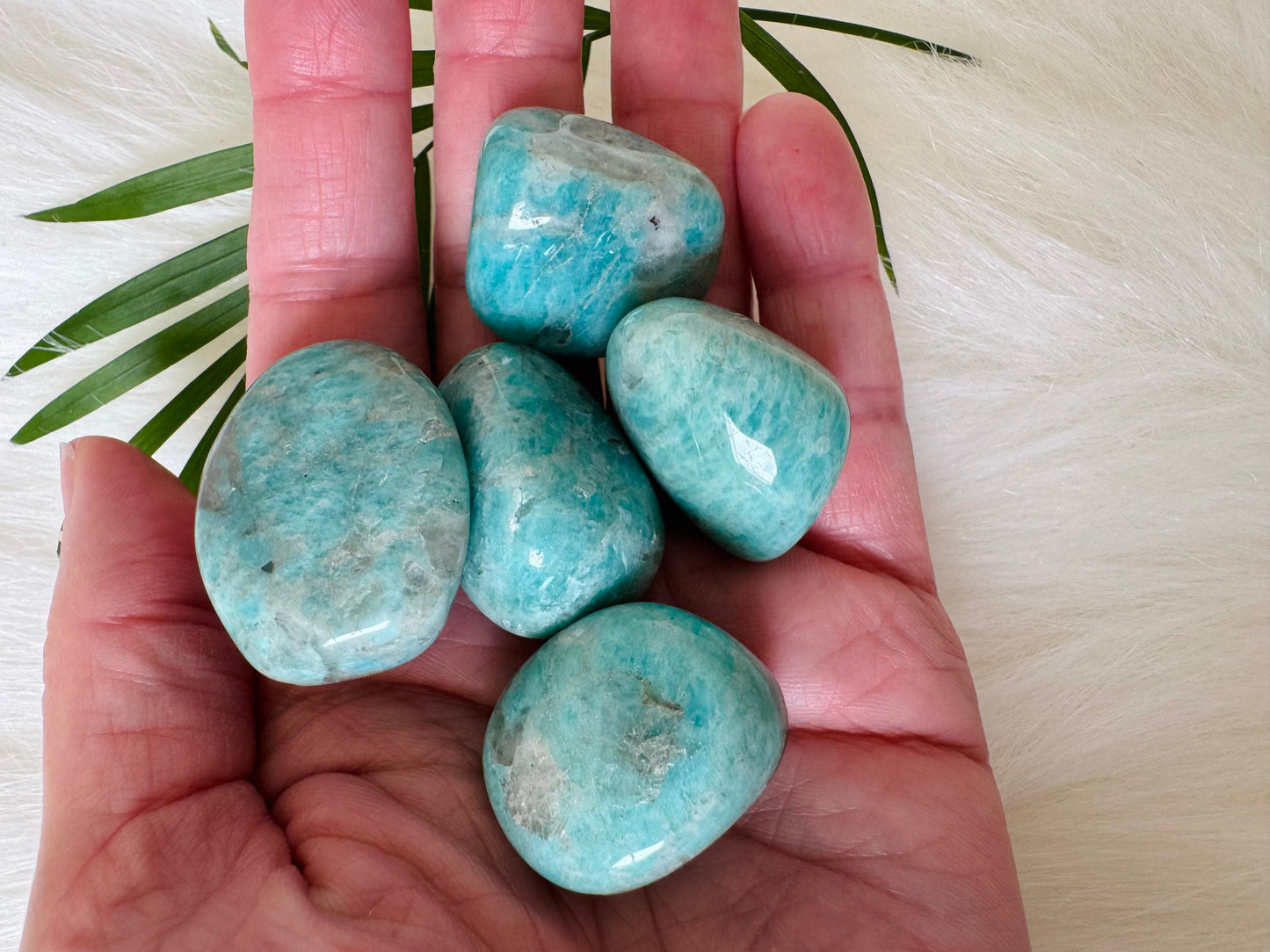 Amazonite Tumbled Large - Moon Room Shop and Wellness