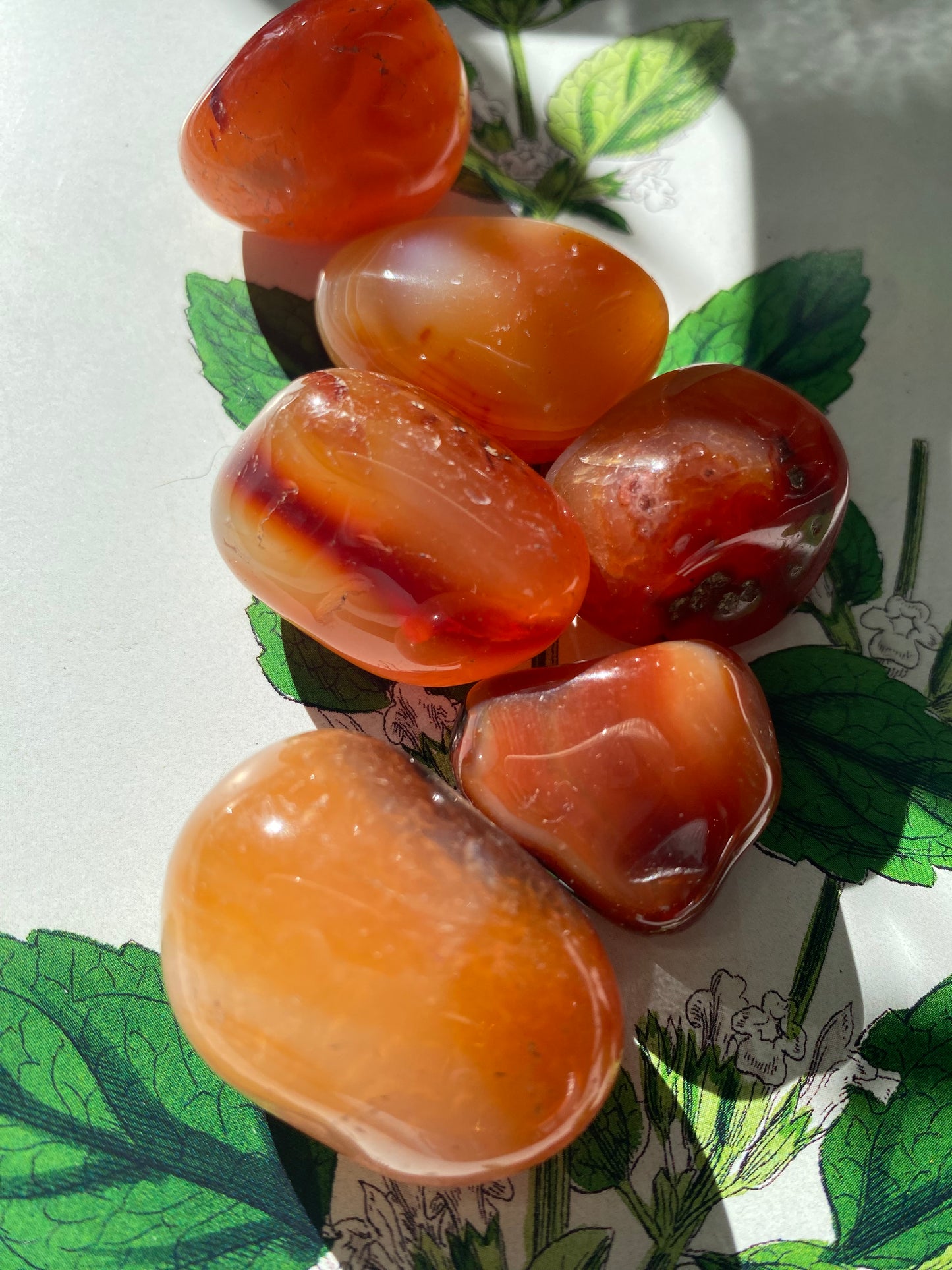 Carnelian Tumbled - Moon Room Shop and Wellness