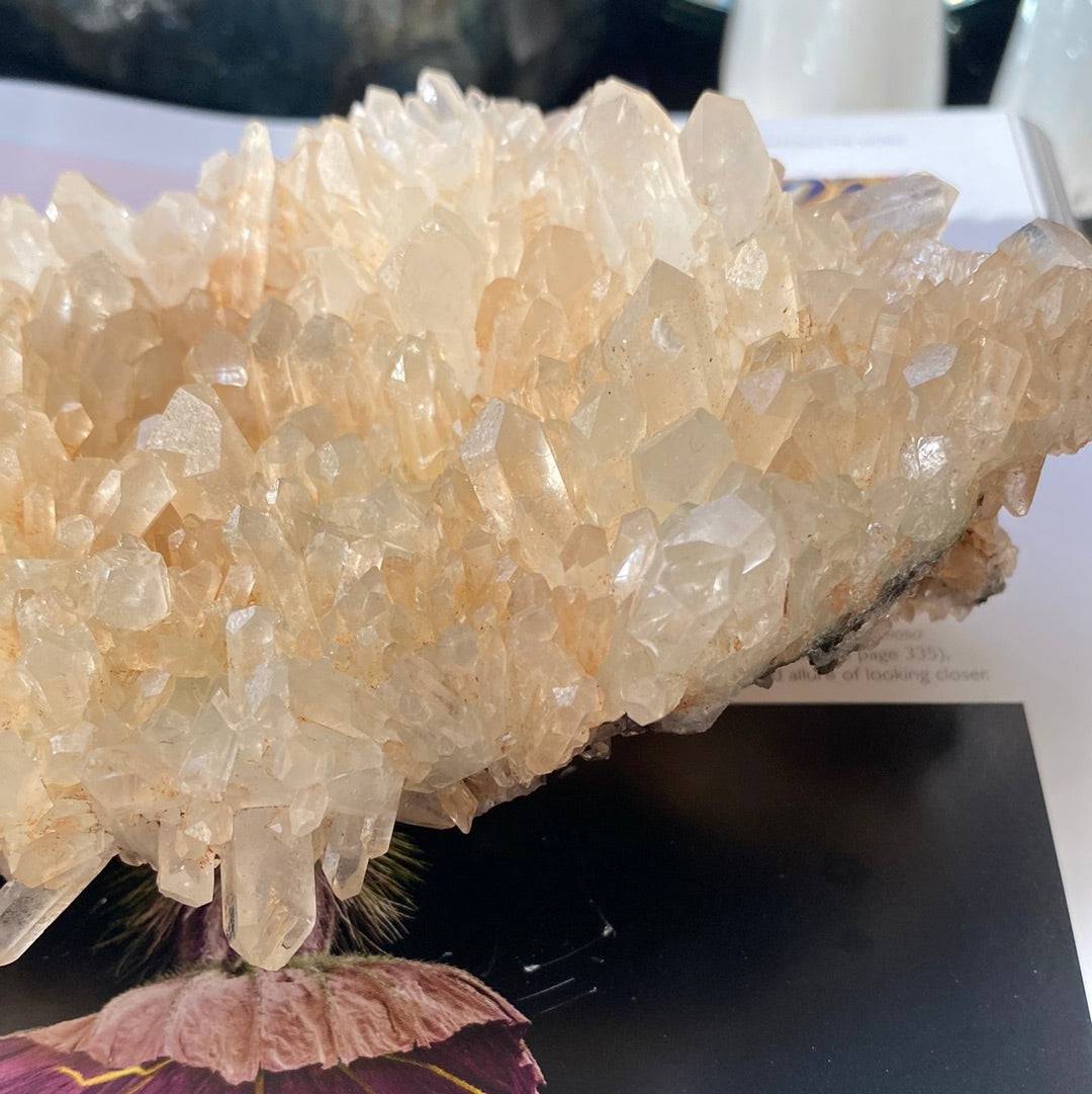 Champagne Quartz Specimen 1.31 lbs - Moon Room Shop and Wellness