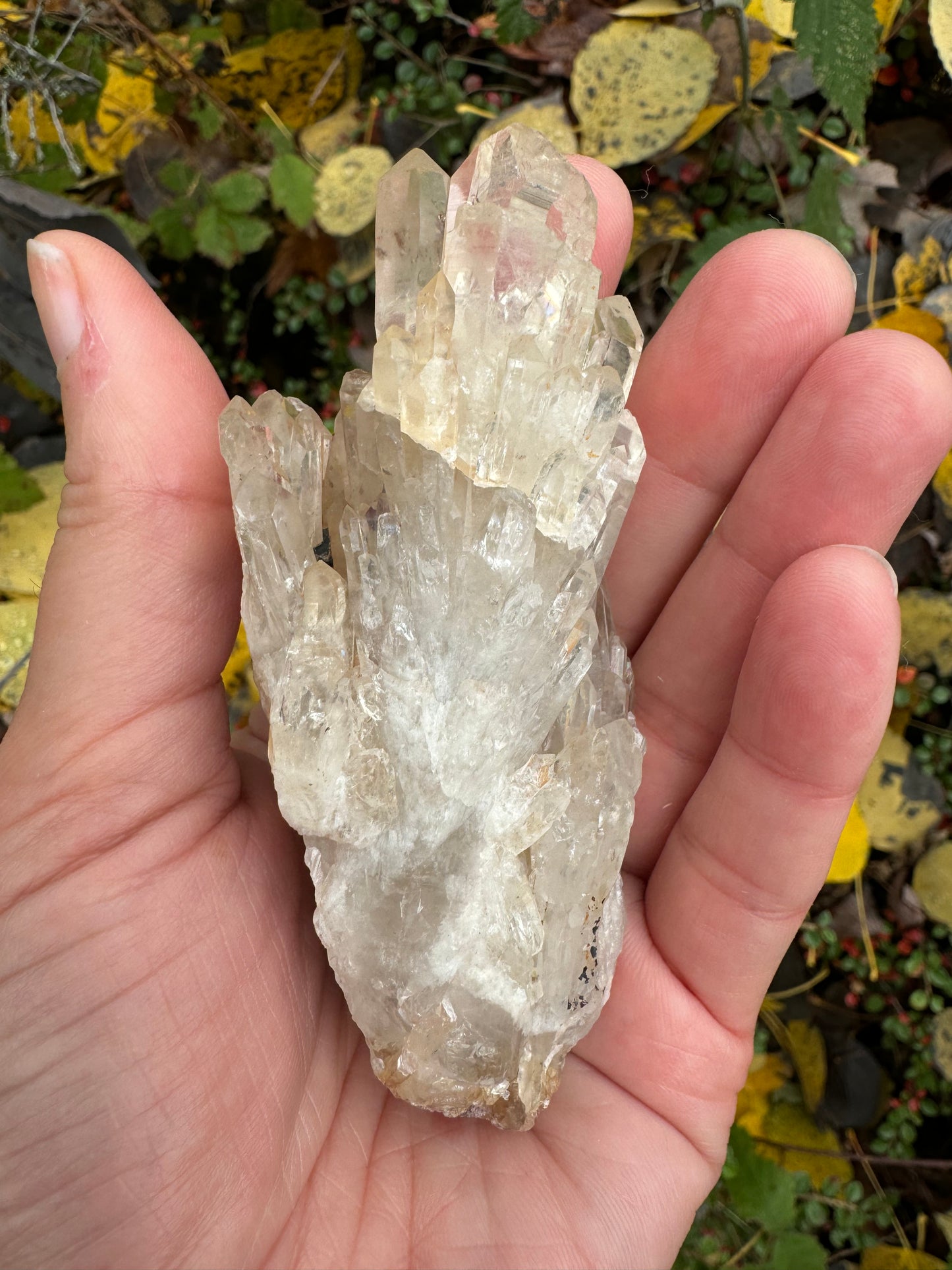 Kundalini Citrine 142 g Rainbows! - Moon Room Shop and Wellness