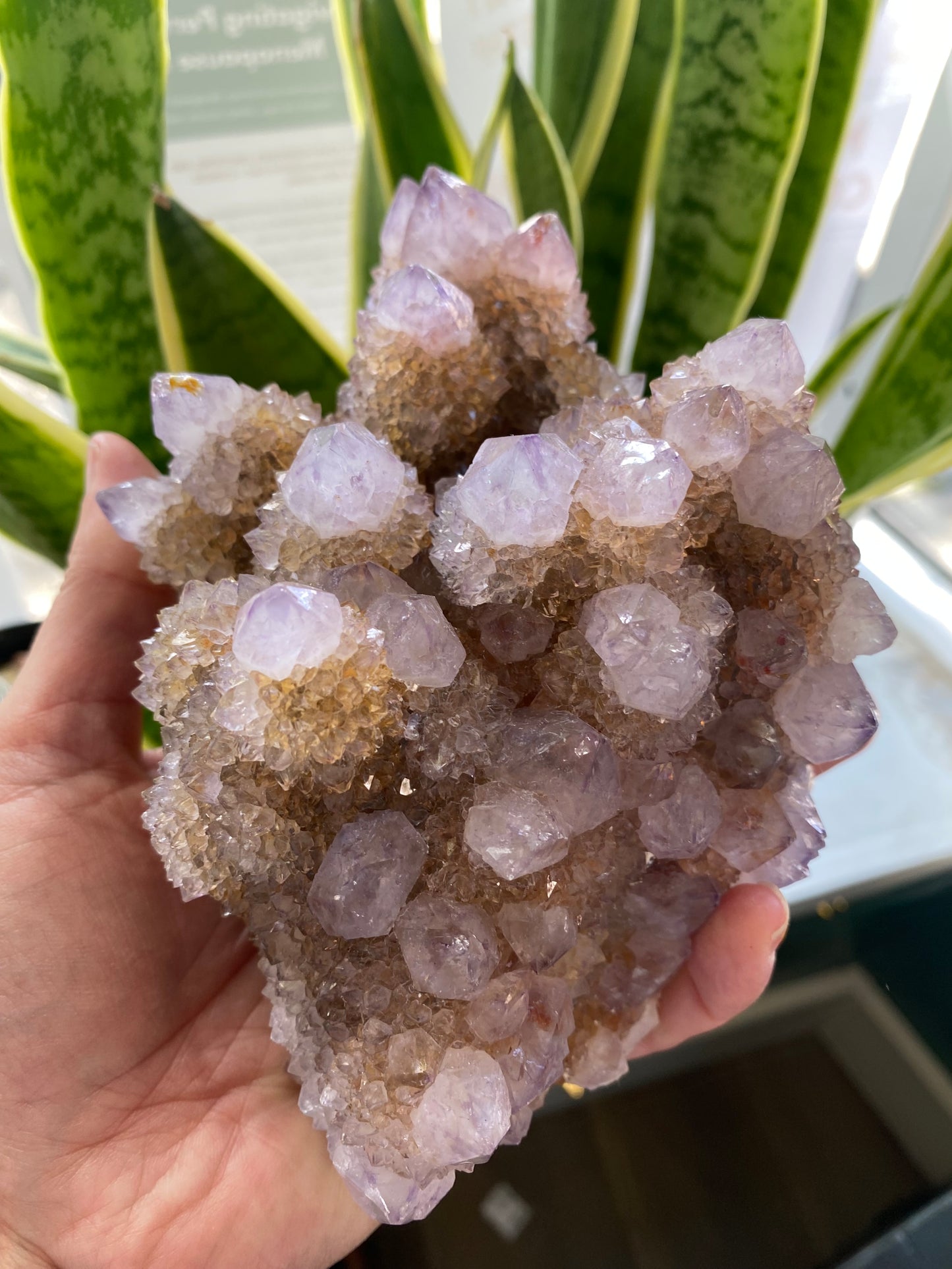 Spirit Quartz Specimen/Cluster 2.68 lb -South Africa - Moon Room Shop and Wellness