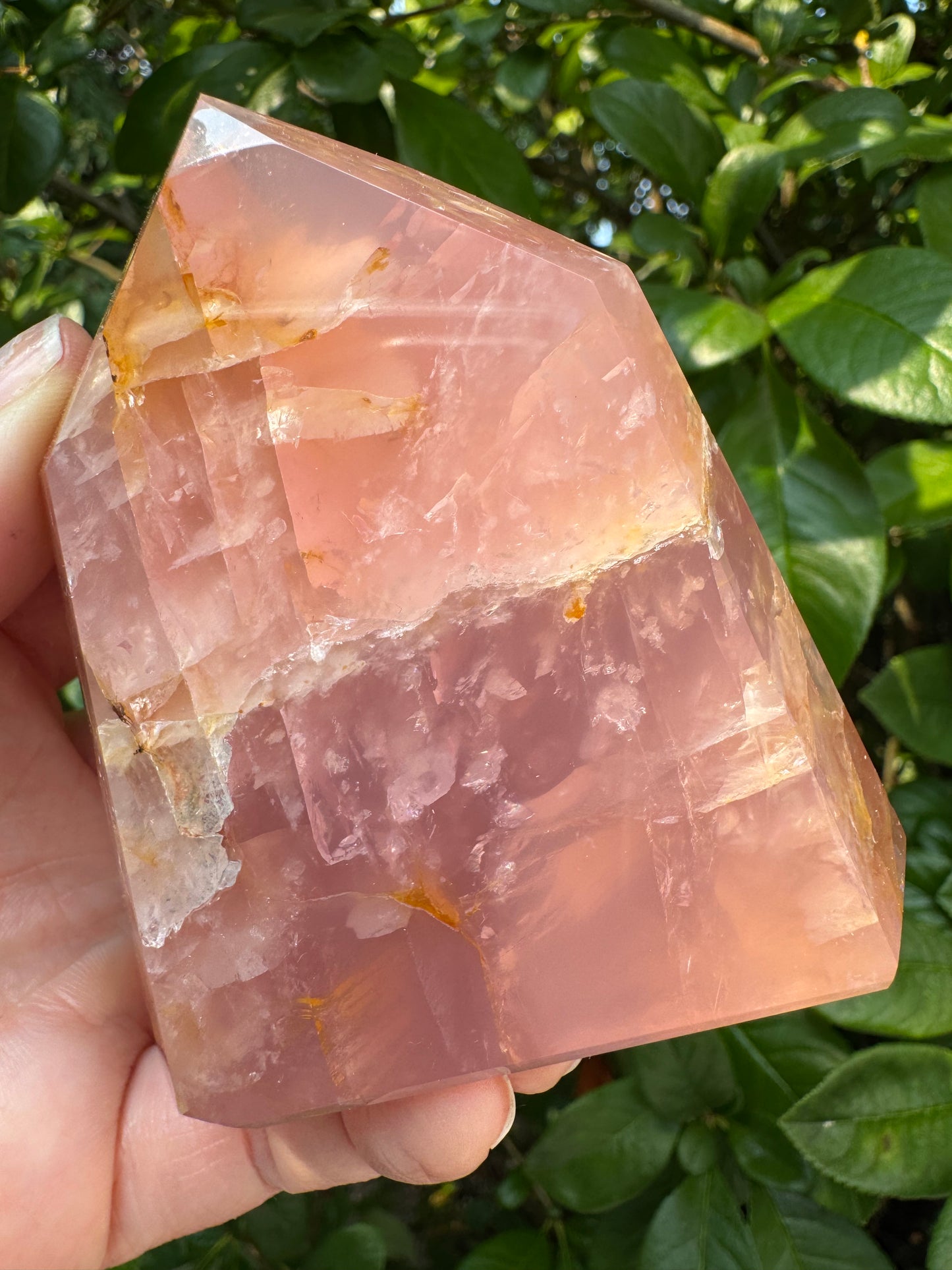 Guava Rose Quartz Tower w Golden Healer - Gorgeous! 242 g - Brazil - Moon Room Shop and Wellness