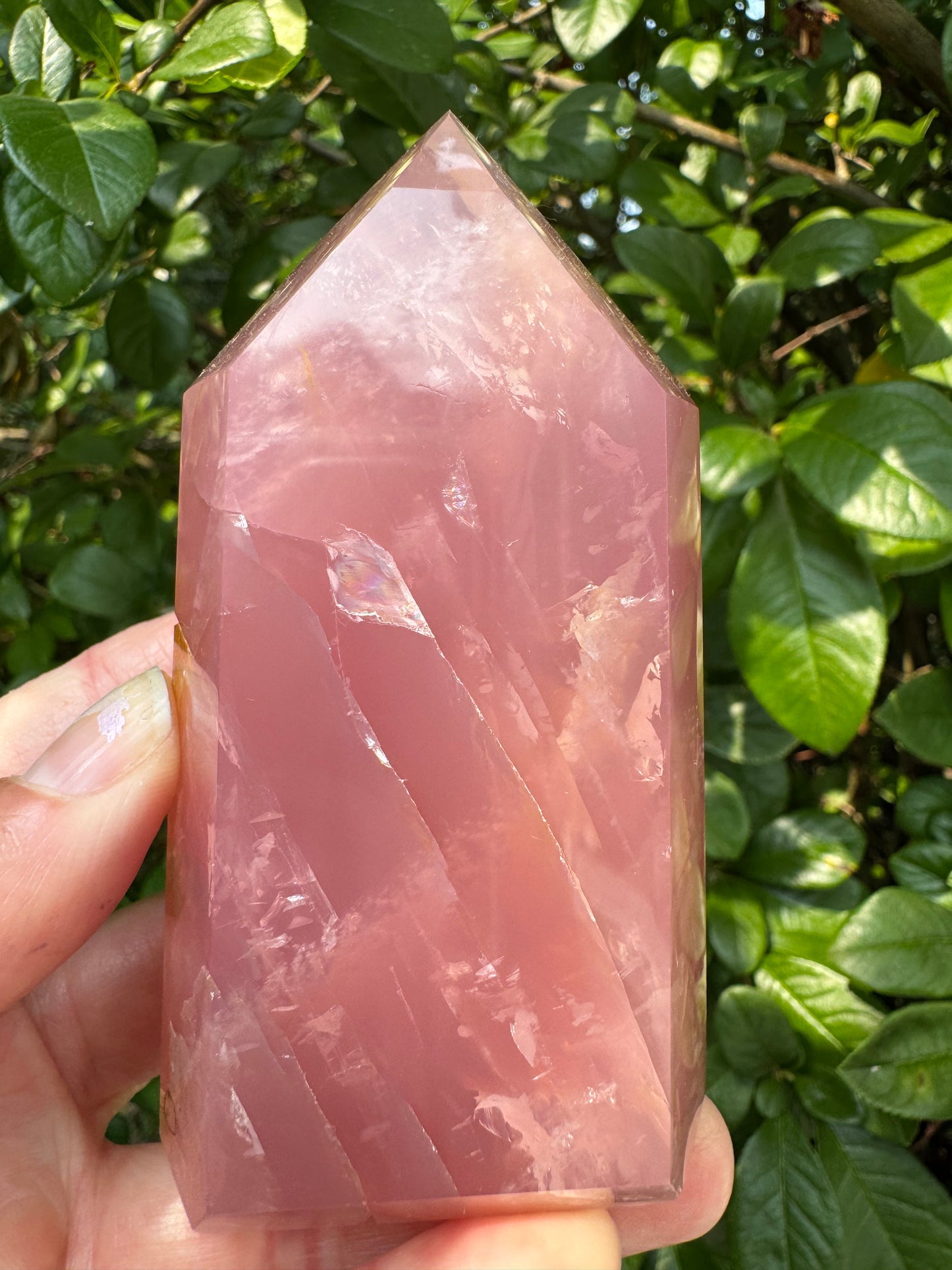 Guava Rose Quartz w Golden Healer - Gorgeous! 304 g - Brazil - Moon Room Shop and Wellness