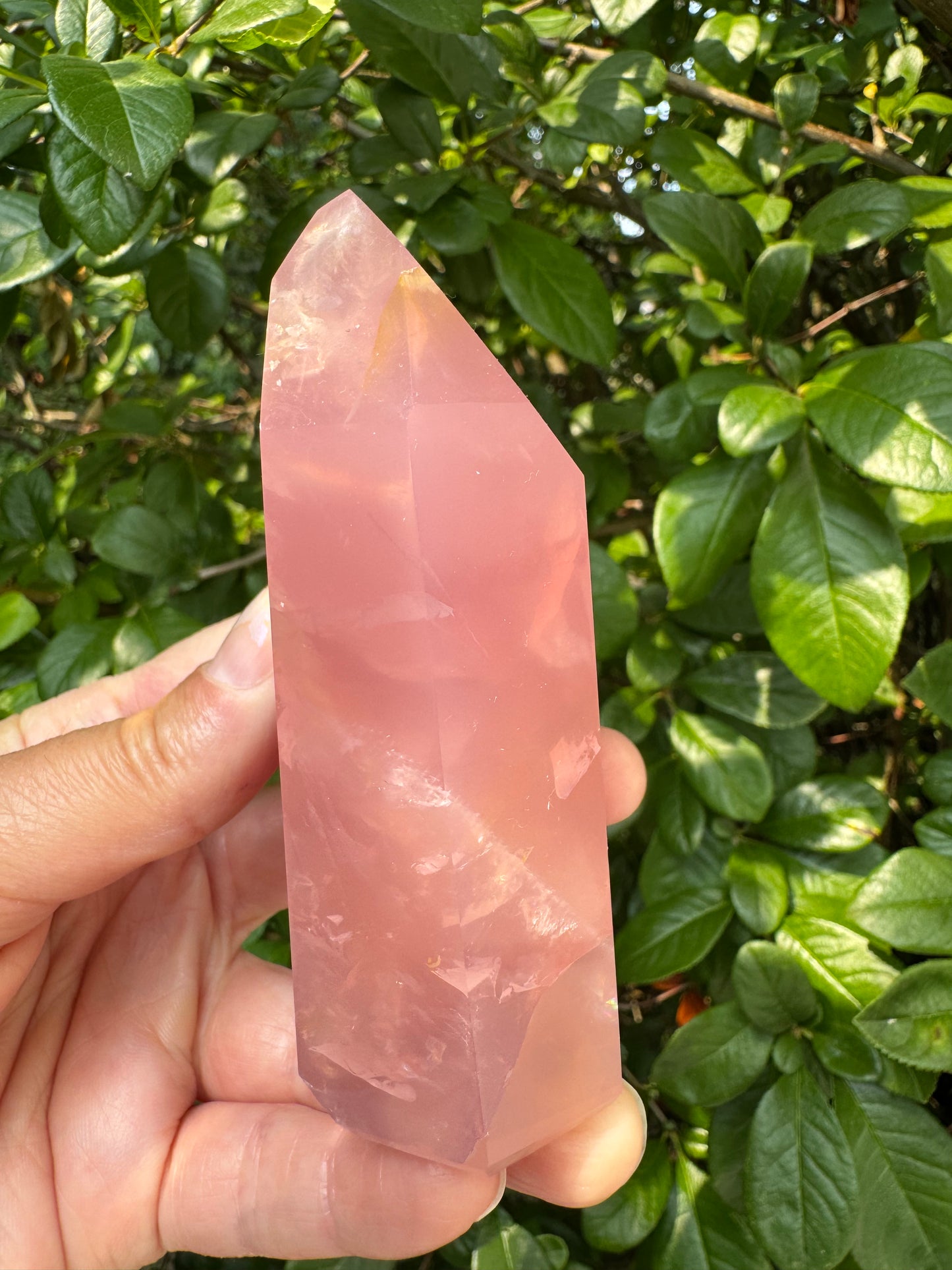 Guava Rose Quartz w Golden Healer - Gorgeous! 304 g - Brazil - Moon Room Shop and Wellness