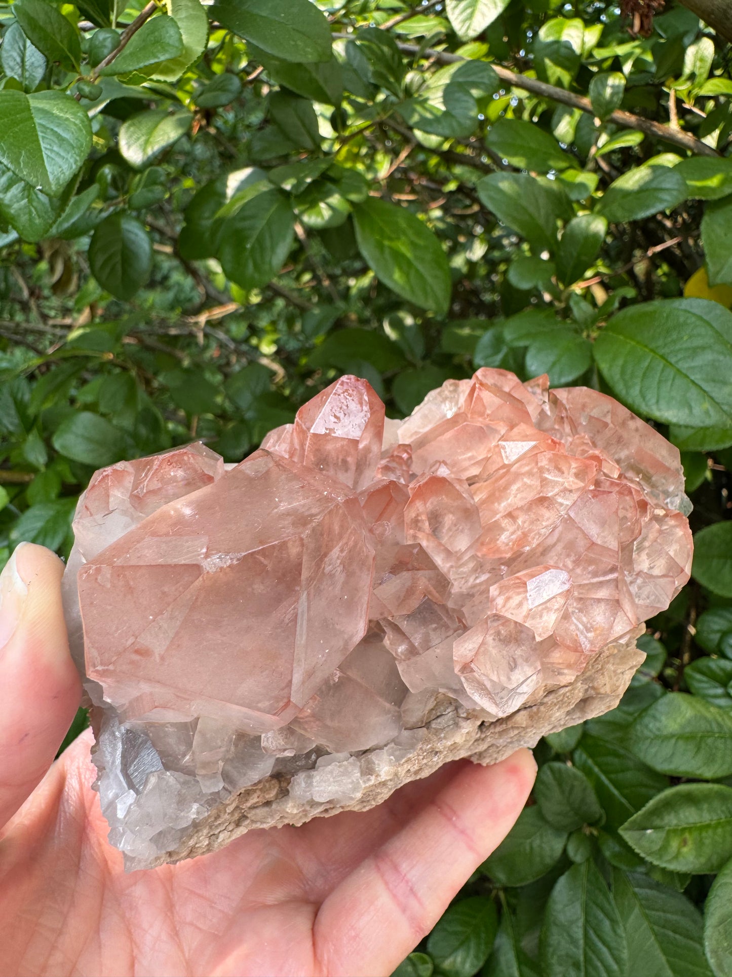 Pink Lithium Quartz Cluster 1lb 5oz - Brazil- Peaceful Beauty! - Moon Room Shop and Wellness