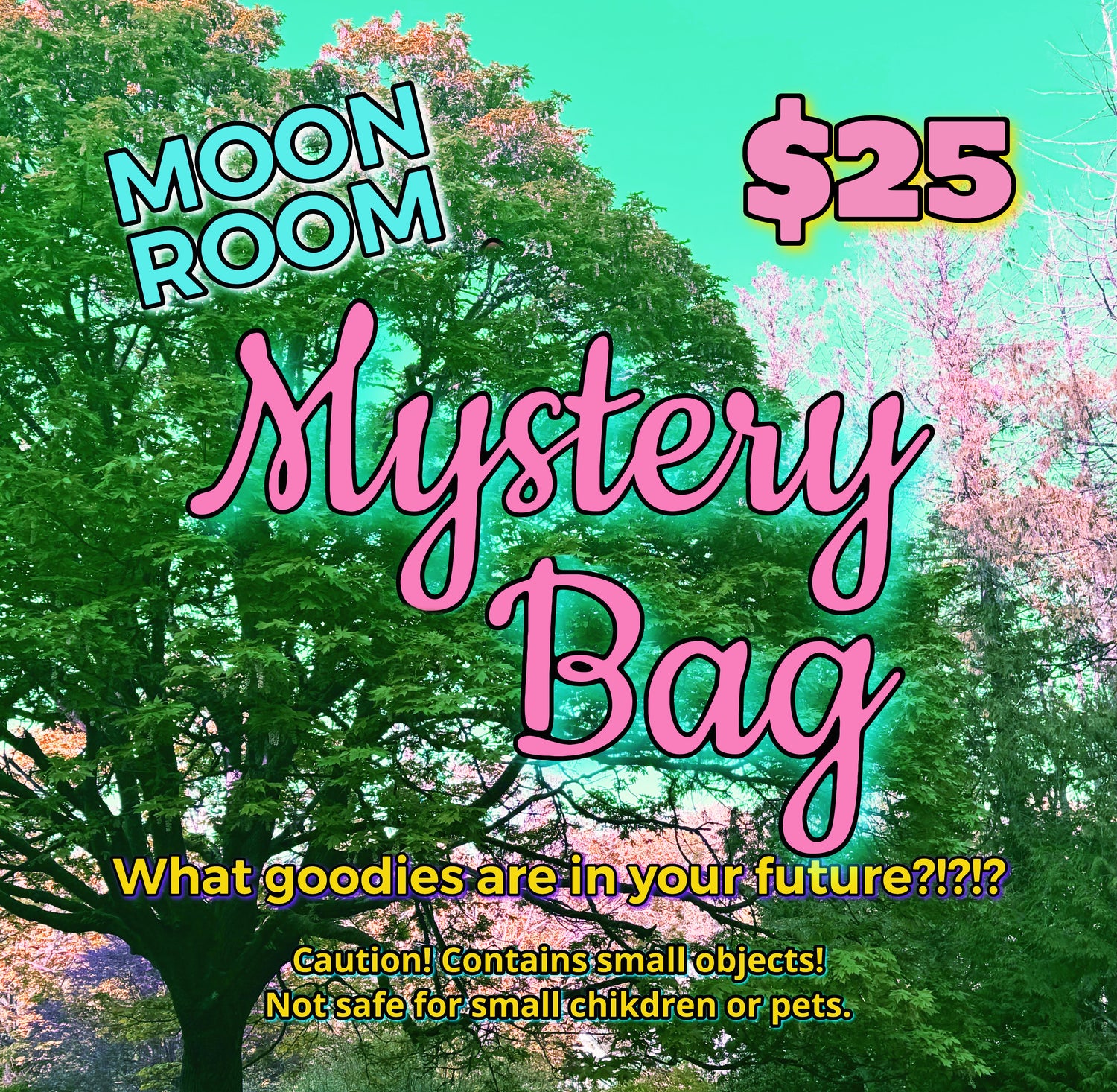 Moon Room Mystery Bag $25 - Moon Room Shop and Wellness