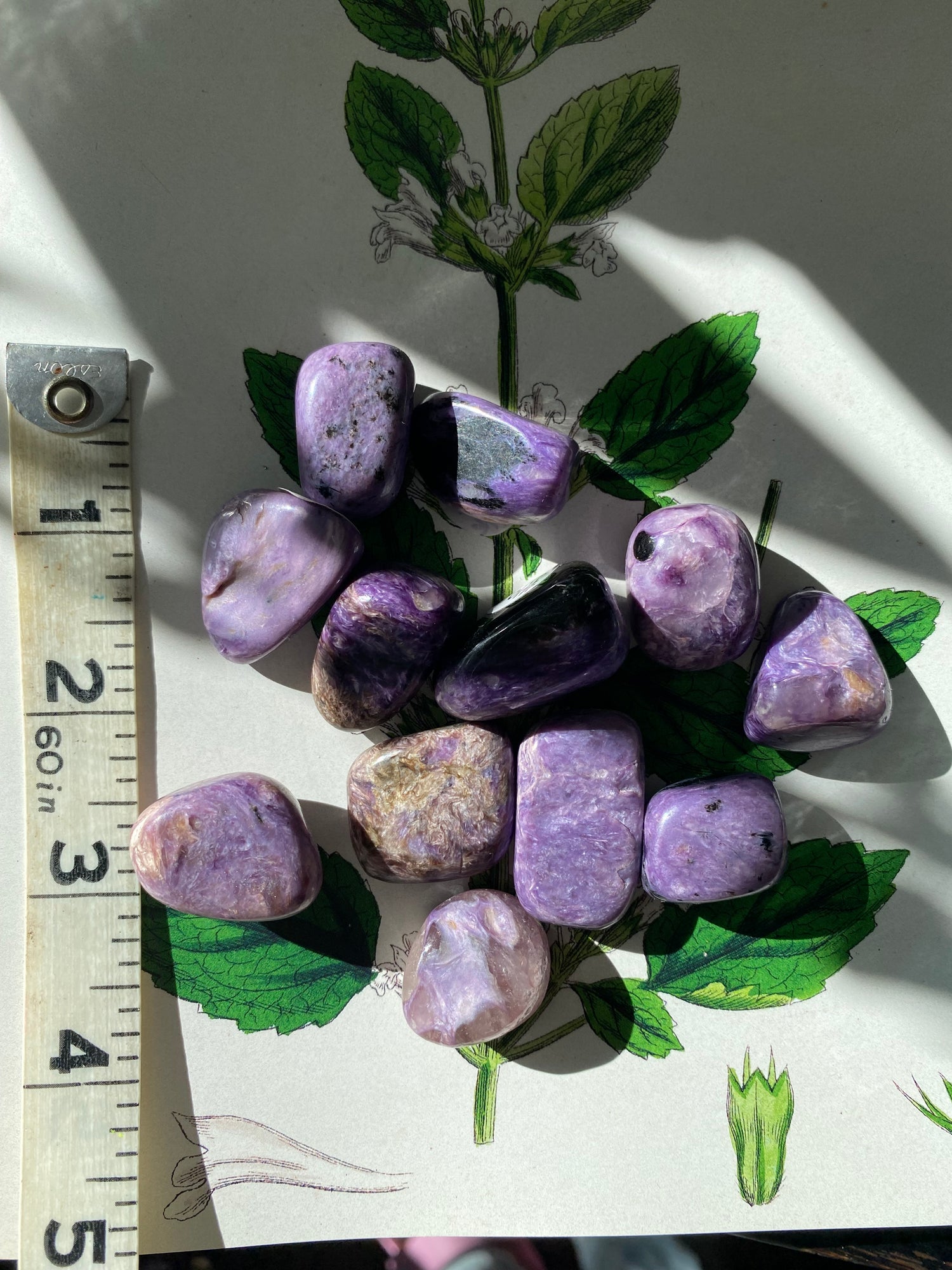 Charoite Tumbled  -Russia - Moon Room Shop and Wellness