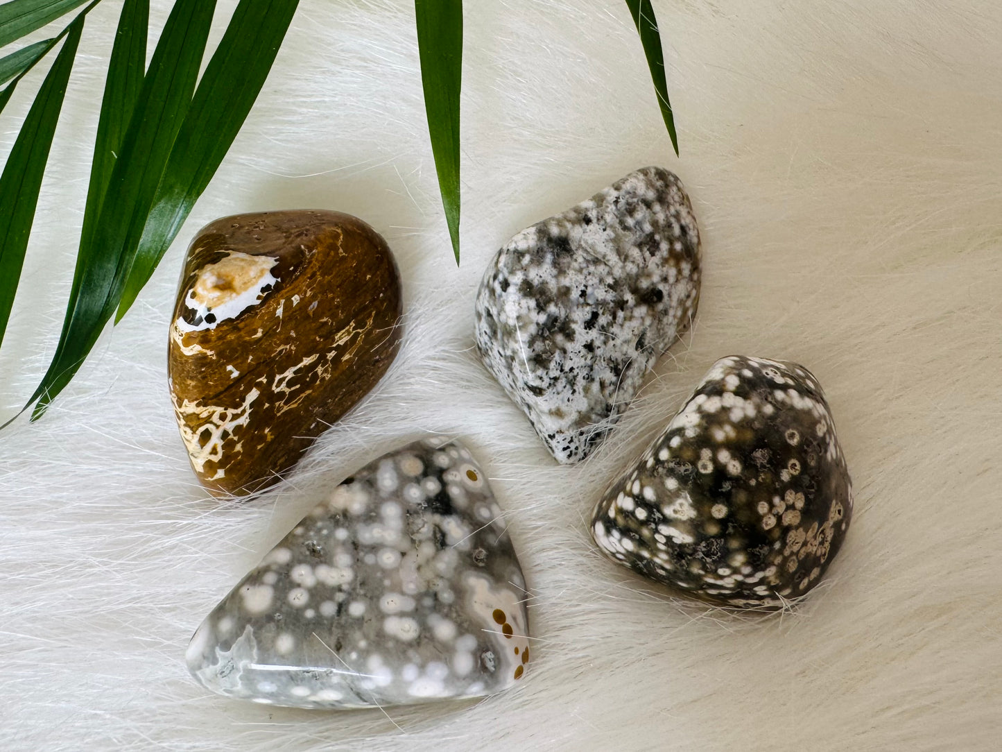 Ocean Jasper Tumbled - Moon Room Shop and Wellness