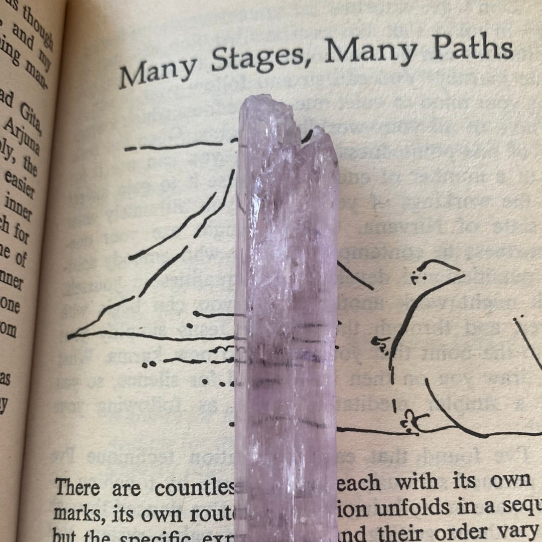 Kunzite -Pakistan- 240 ct - Moon Room Shop and Wellness