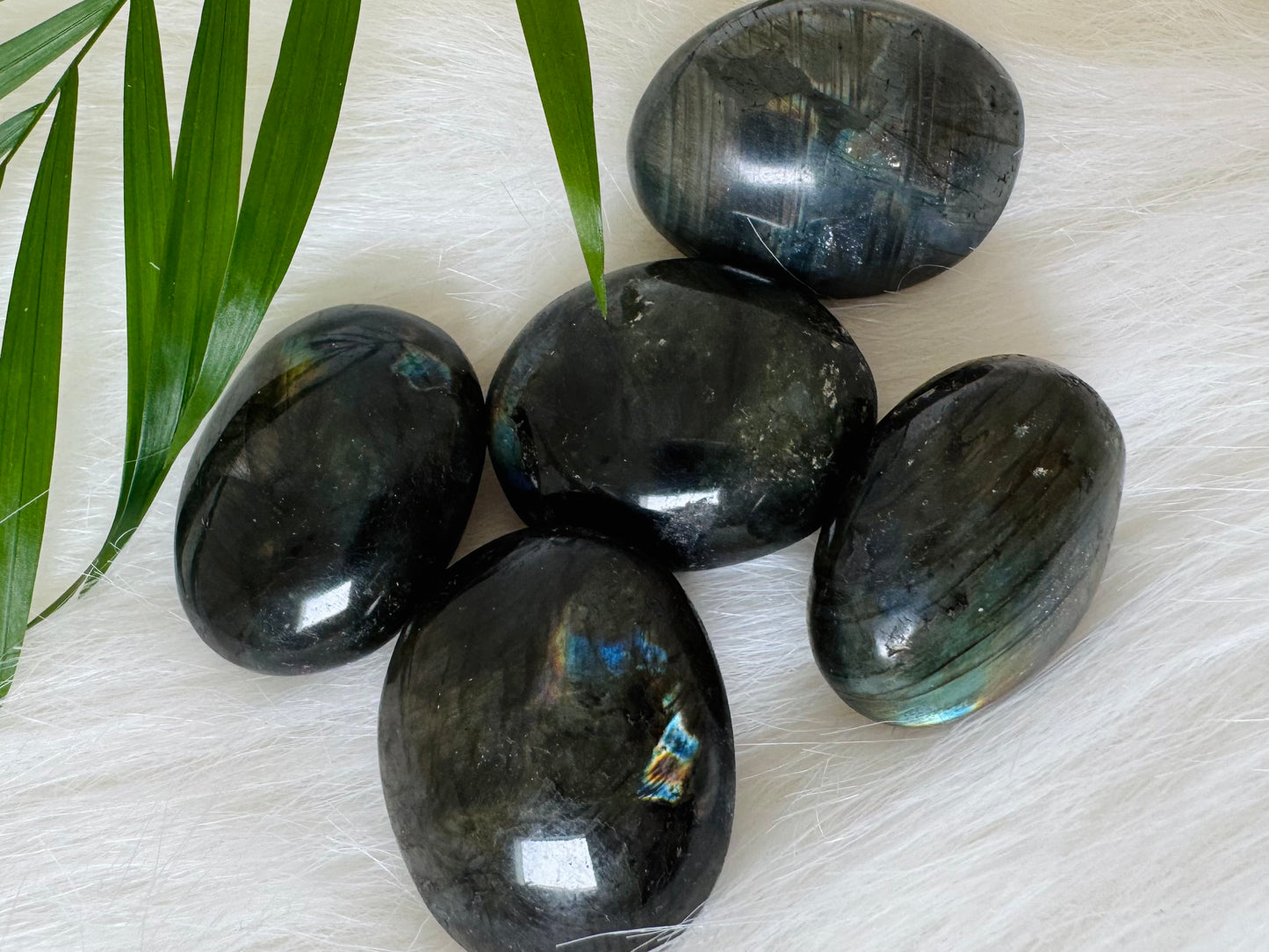 Labradorite Tumbled - Moon Room Shop and Wellness