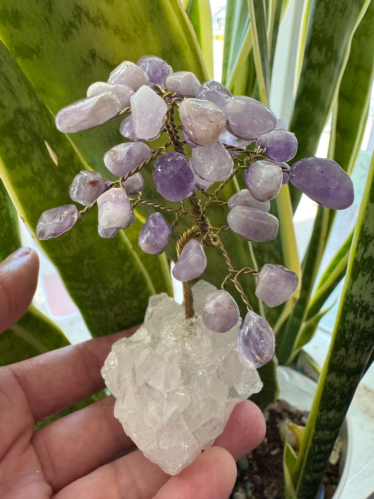 Amethyst Gem Tree on Clear Quartz -So Sweeeet!! - Moon Room Shop and Wellness