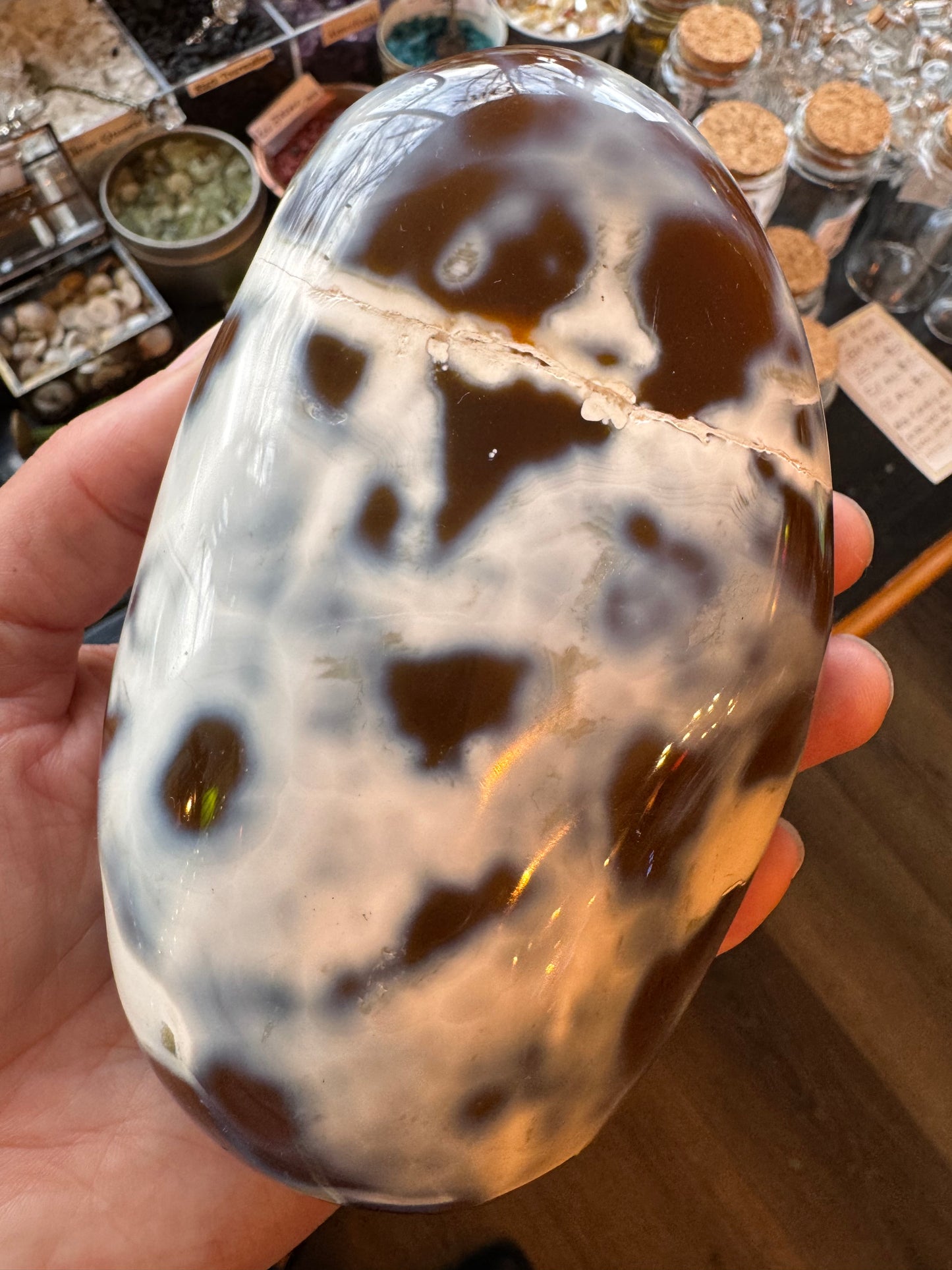 Carnelian Orca Agate Palm Stone 1.6 lb - Madagascar - Moon Room Shop and Wellness