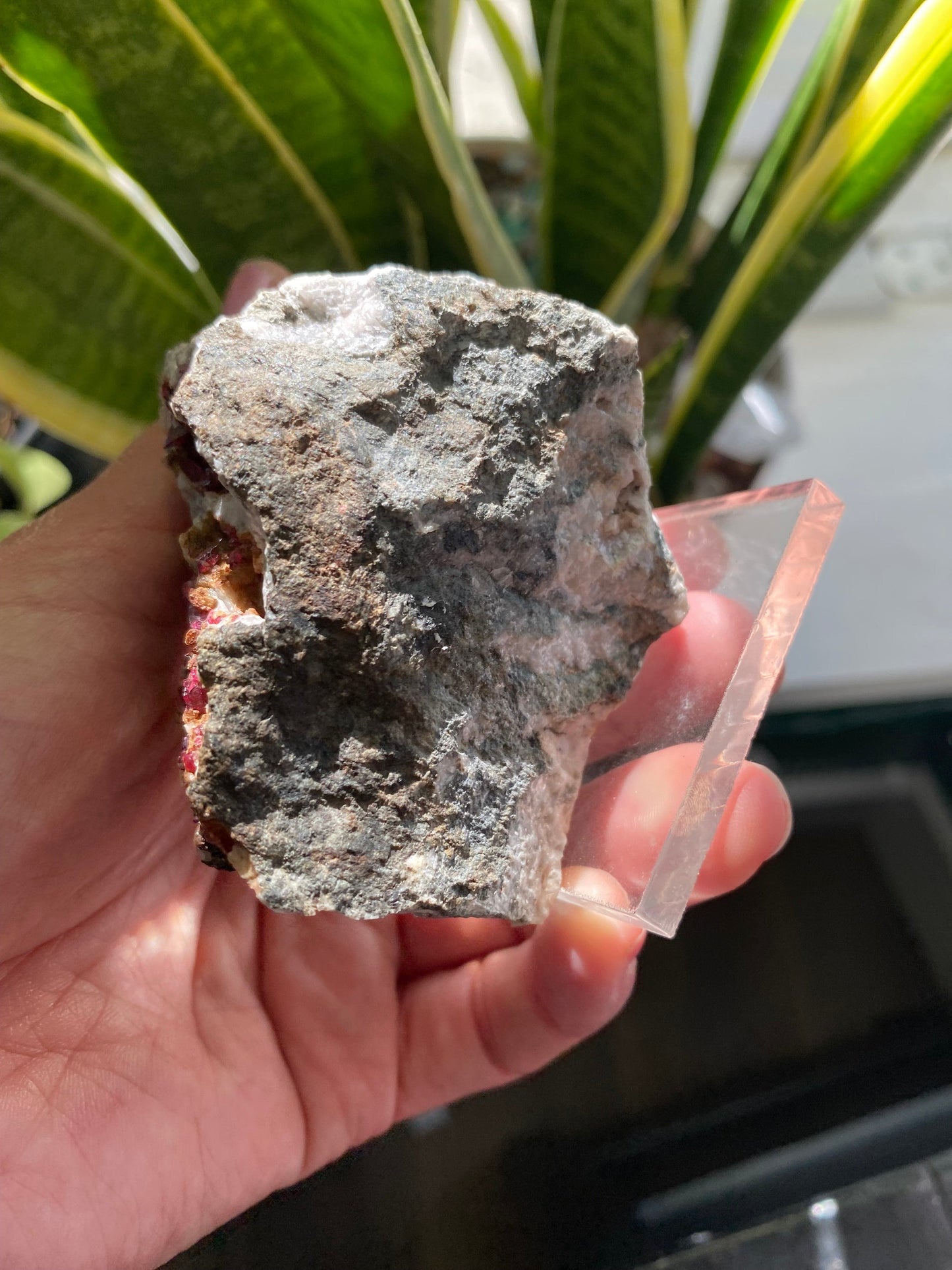 Roselite and Heterogenite on Dolomite 233 g Aghbar Mine Morocco - Moon Room Shop and Wellness