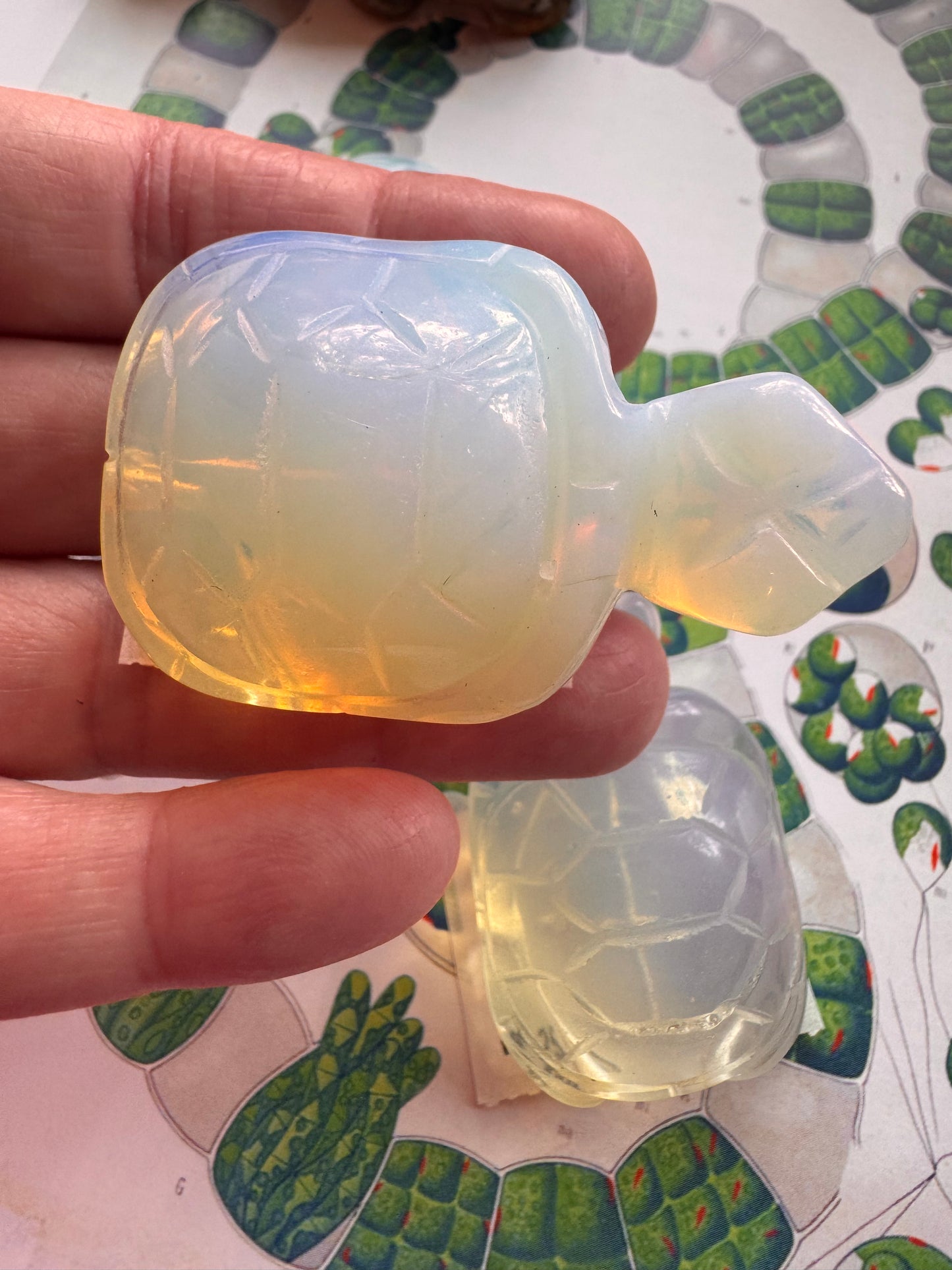 Opalite Turtle - Moon Room Shop and Wellness