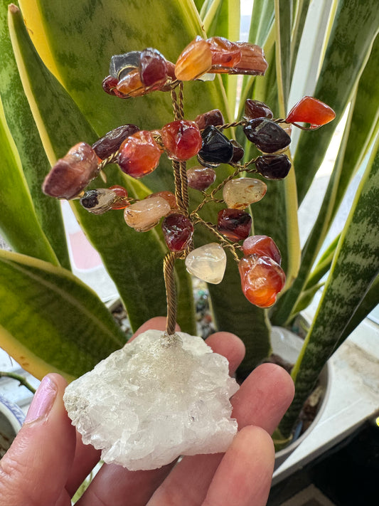 Carnelian Gem Tree on Clear Quartz -So Sweeeet!! - Moon Room Shop and Wellness