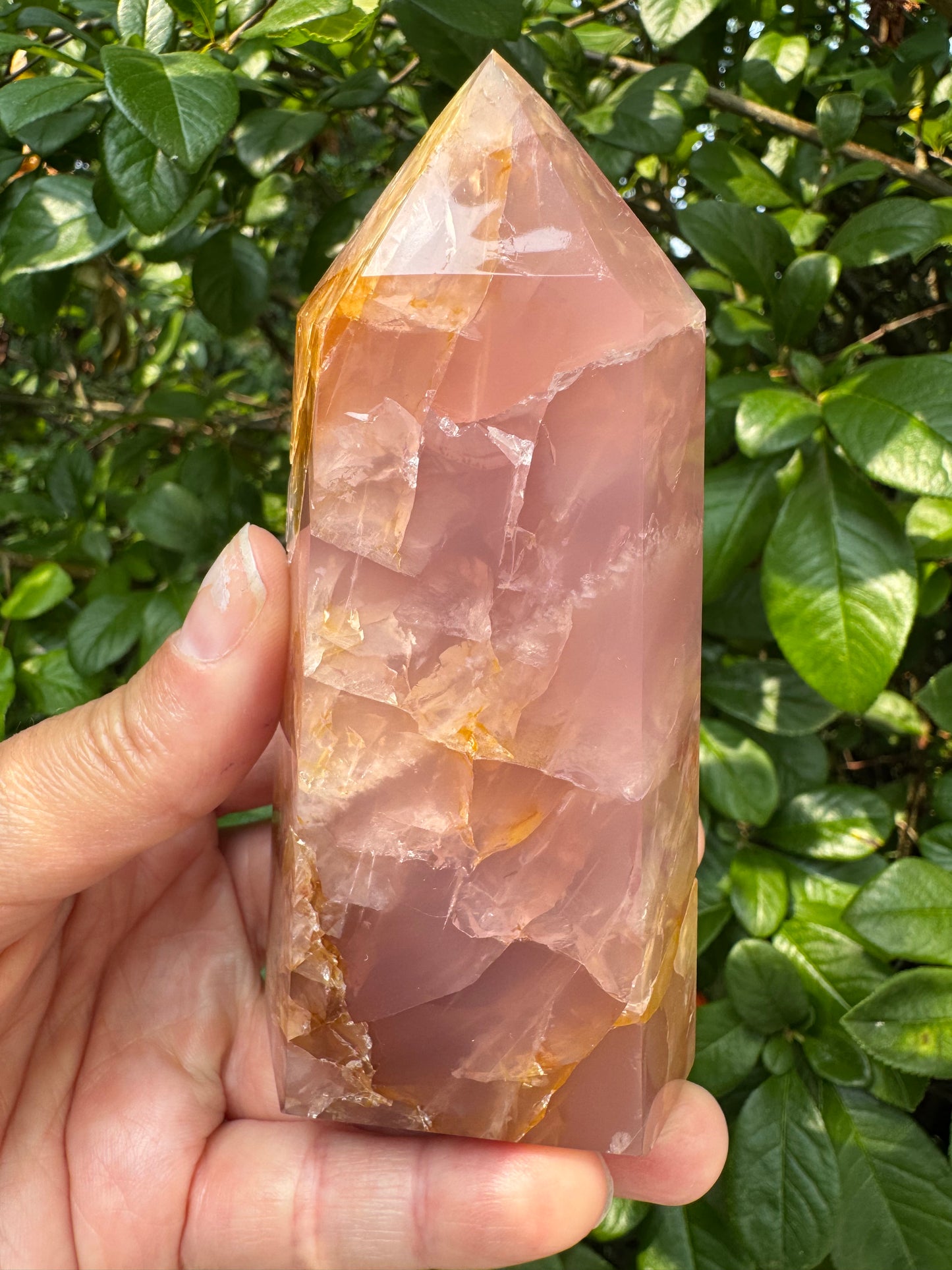 Guave Rose Quartz w Golden Healer - Gorgeous! 328 g - Brazil - Moon Room Shop and Wellness