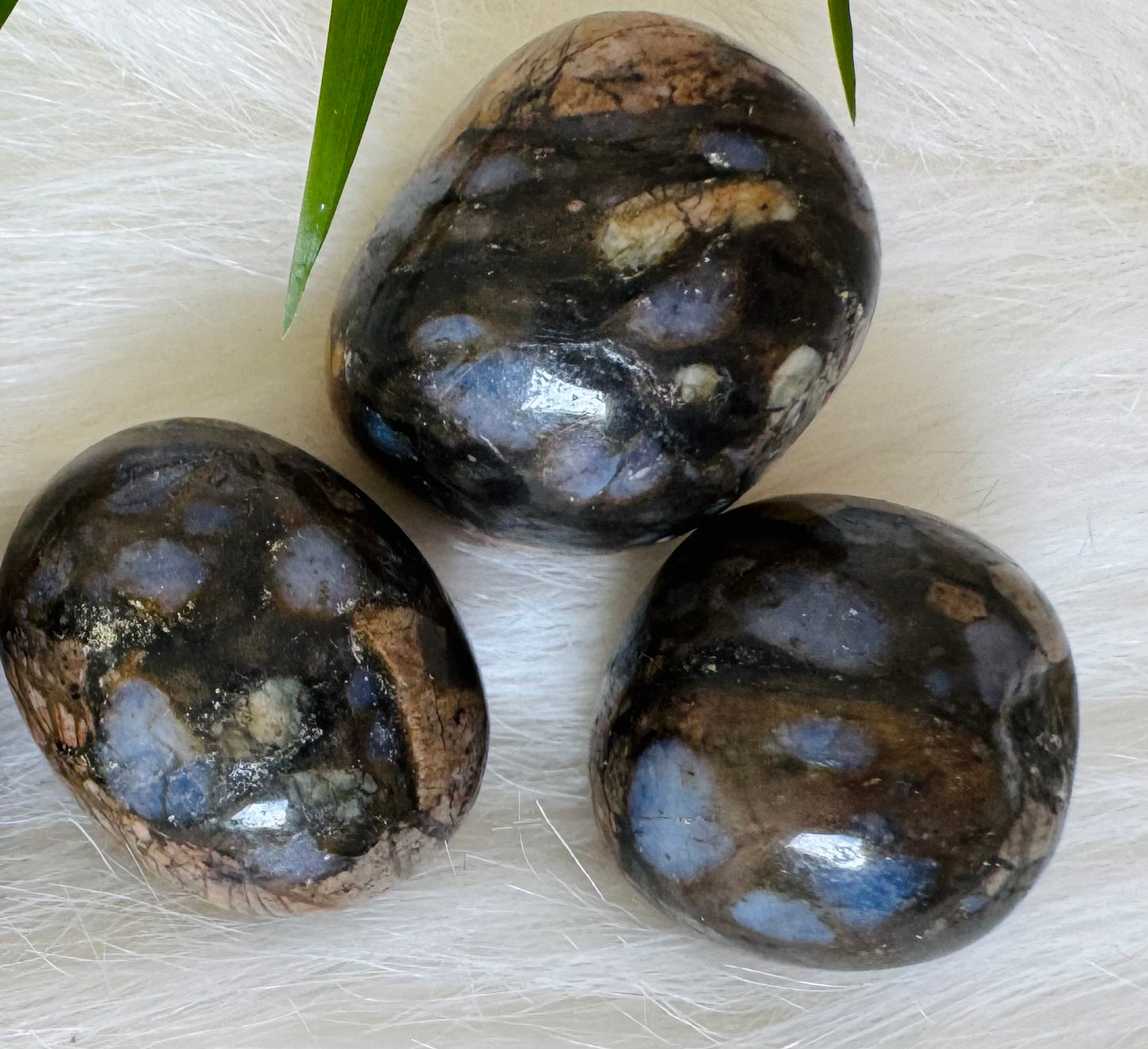 Llanite Tumbled - Moon Room Shop and Wellness