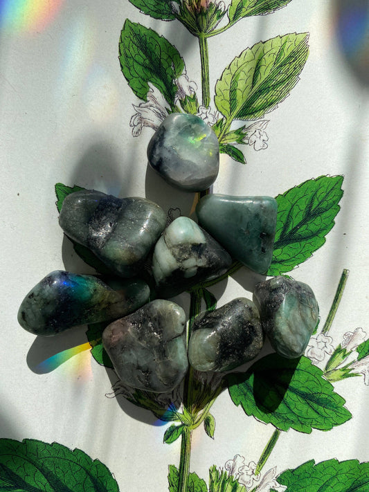 Emerald Tumbled - Moon Room Shop and Wellness