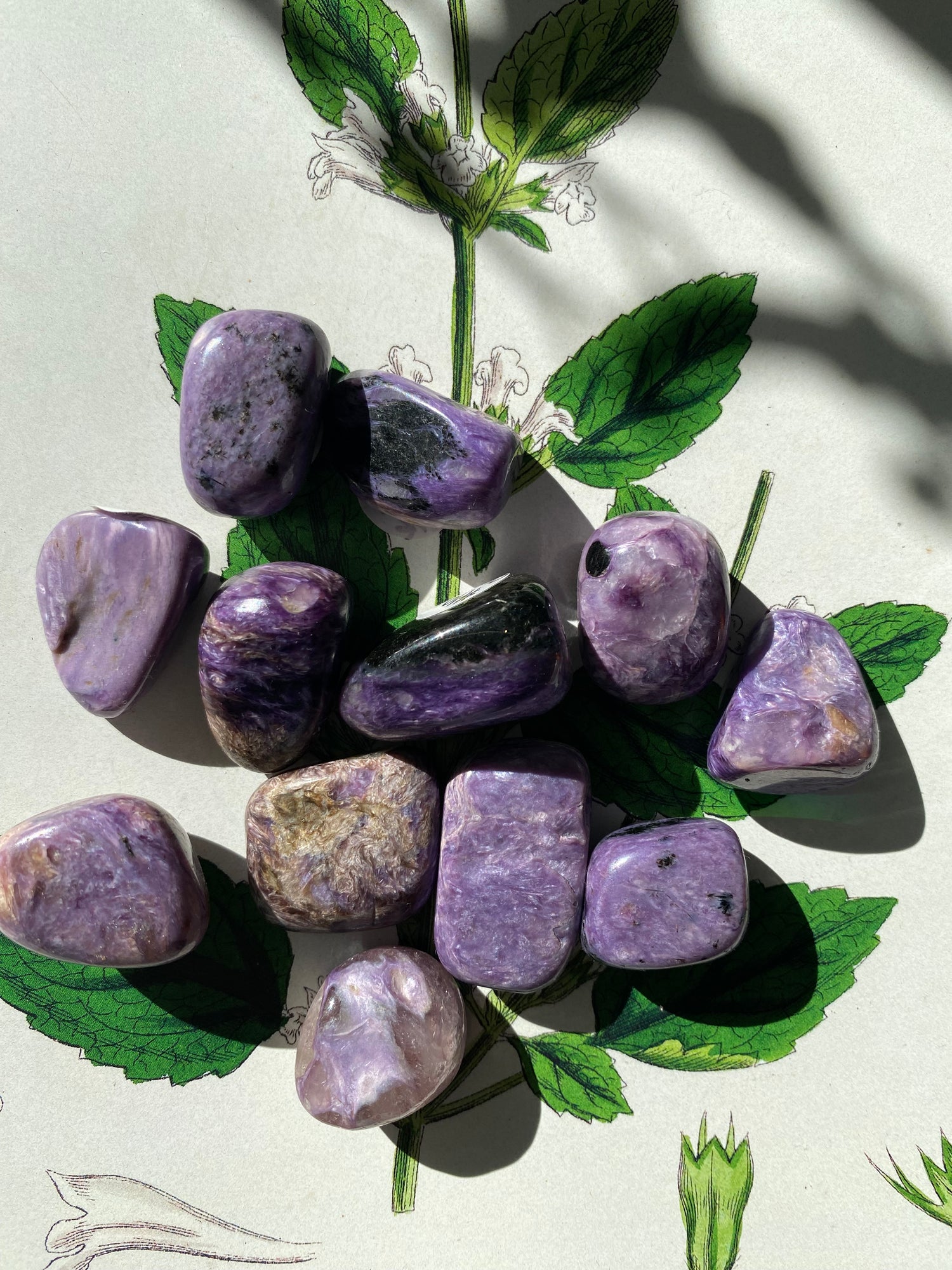 Charoite Tumbled  -Russia - Moon Room Shop and Wellness