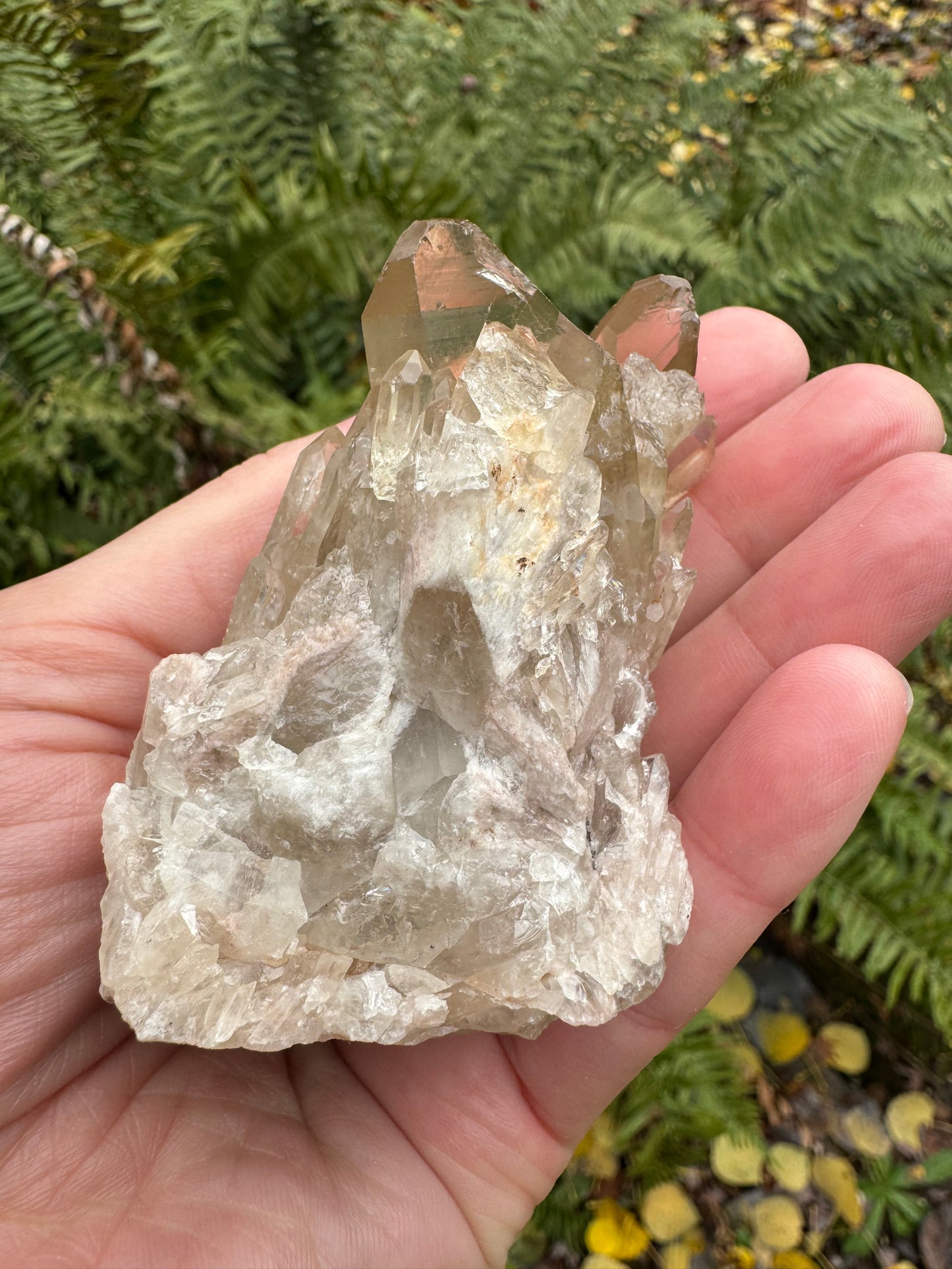 Kundalini Citrine 158 g - Moon Room Shop and Wellness