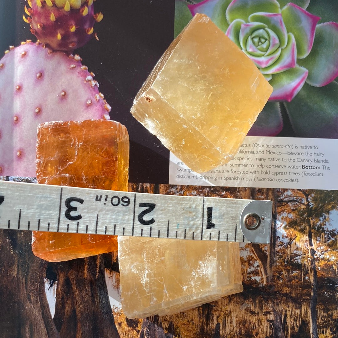 Honey Optical Calcite - Moon Room Shop and Wellness