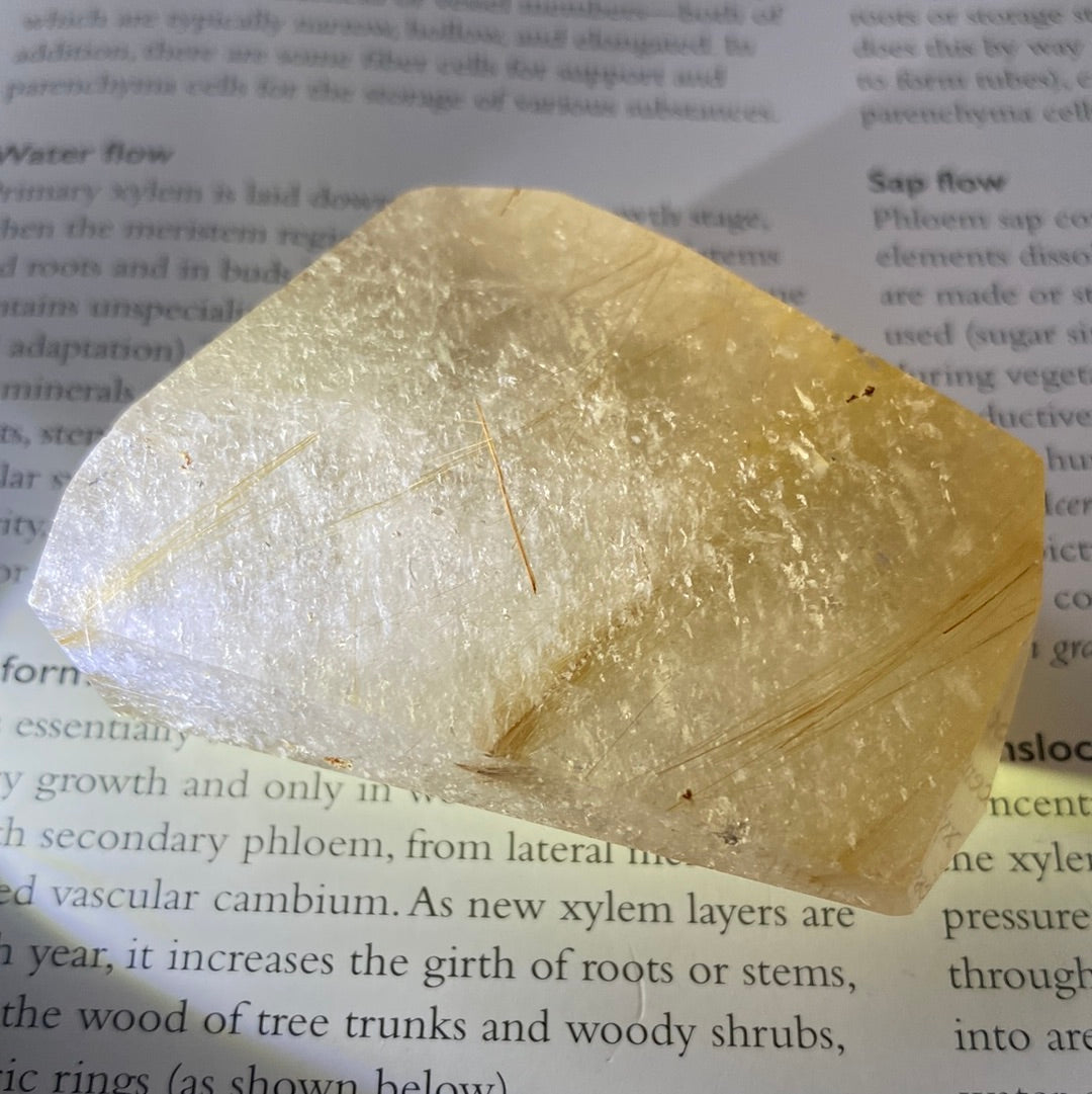 Gold Rutilated Quartz Freeform 115 g - Moon Room Shop and Wellness