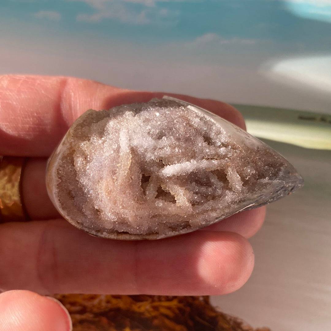 Spiralite Fossilized Gemshell 37 g India - Moon Room Shop and Wellness