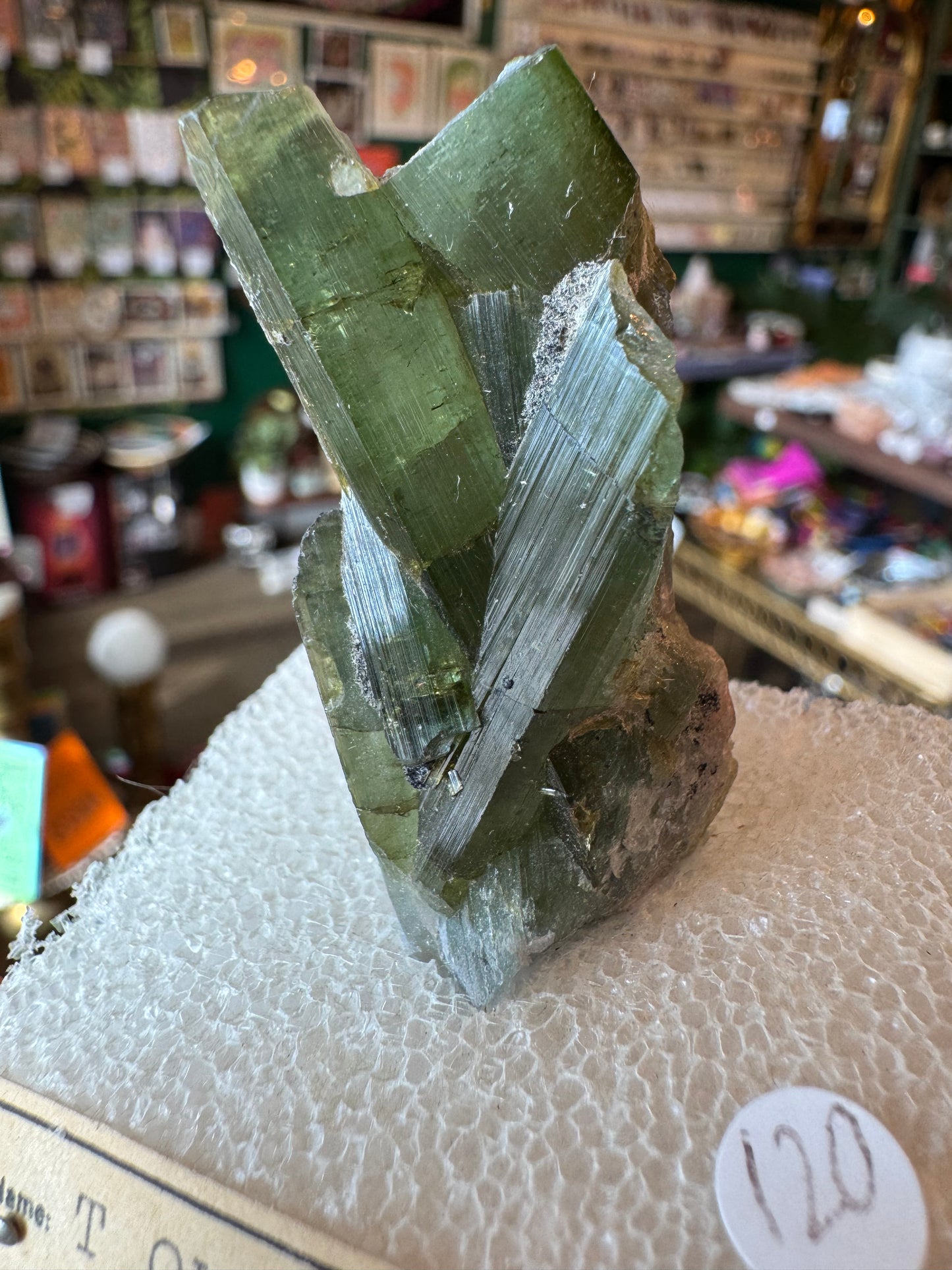 Green Tourmaline Specimen- Vintage Private Collection Piece- Brazil - Moon Room Shop and Wellness