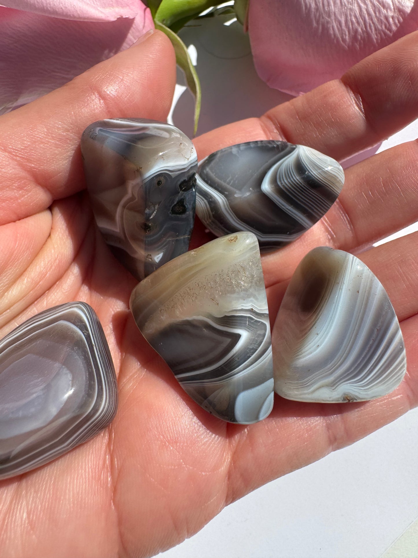 Botswana Agate Tumbled - Moon Room Shop and Wellness