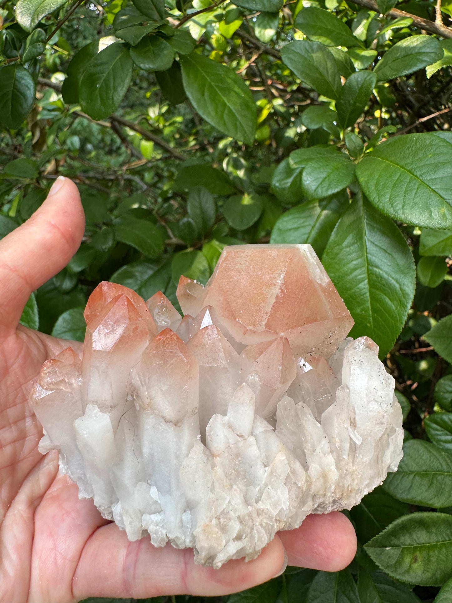 Pink Lithium Quartz Cluster 456 g - Brazil- Peaceful Beauty! - Moon Room Shop and Wellness